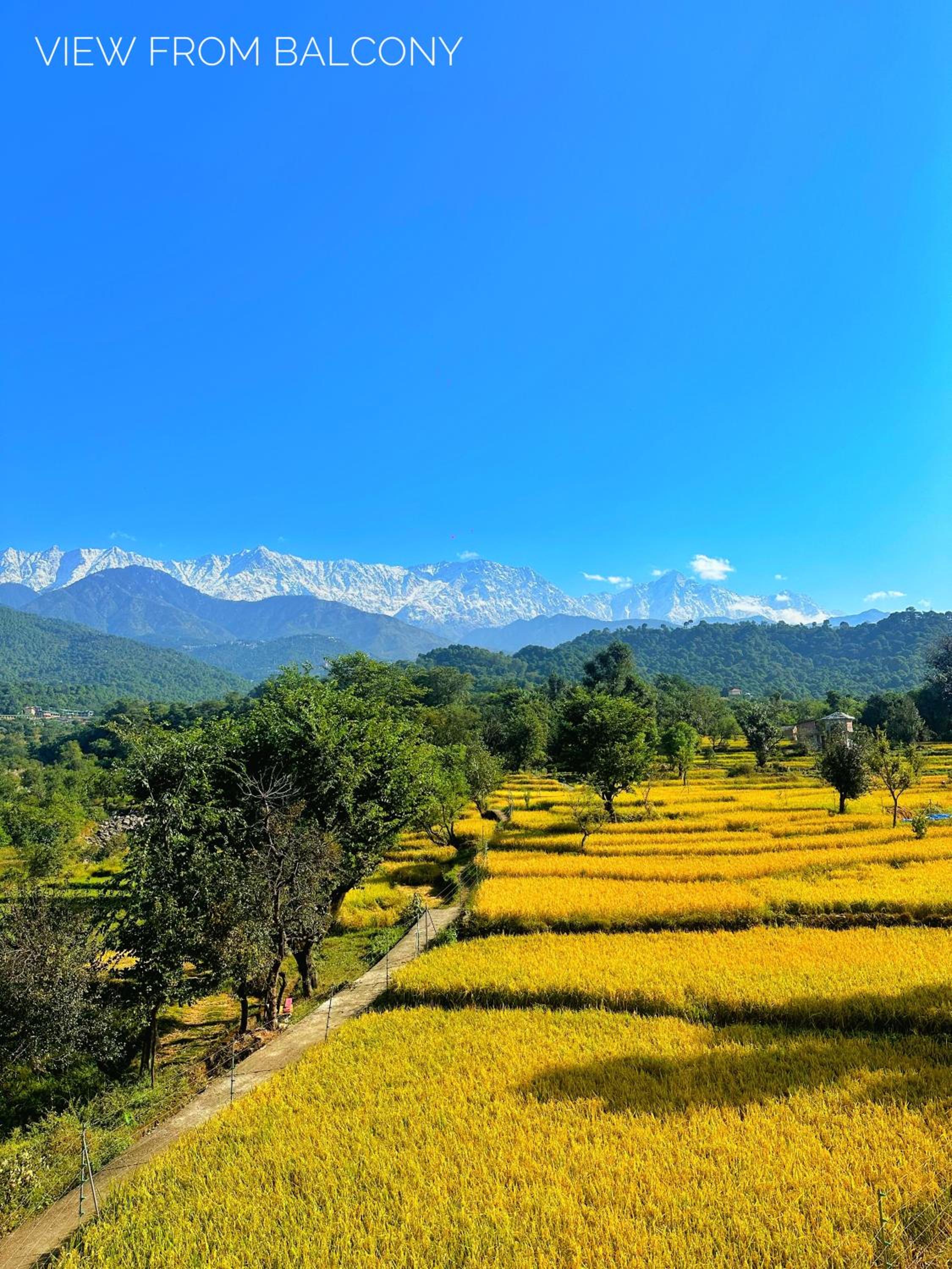 Dhauladhar Homes