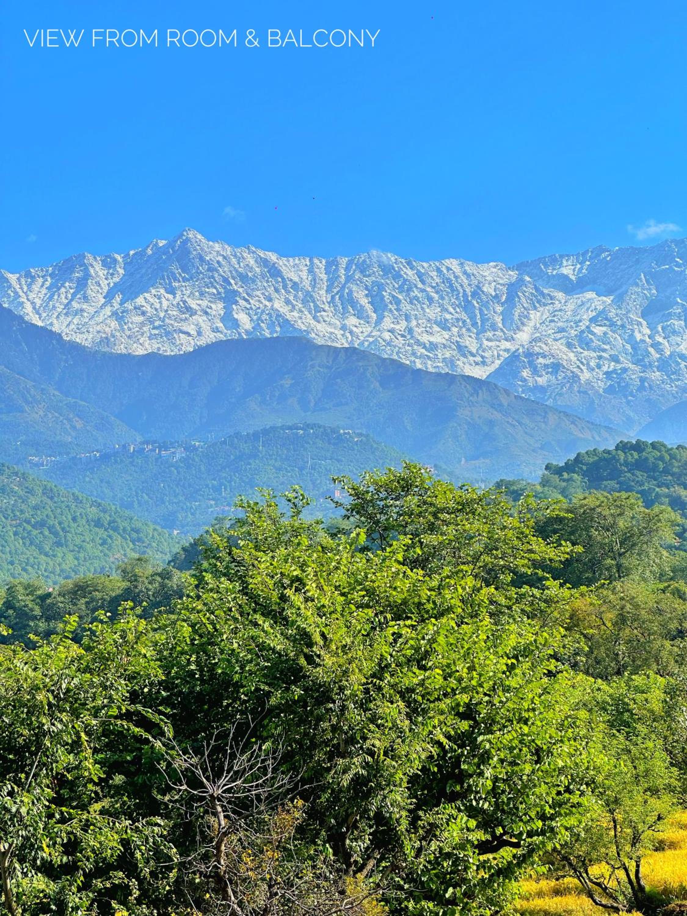 Dhauladhar Homes