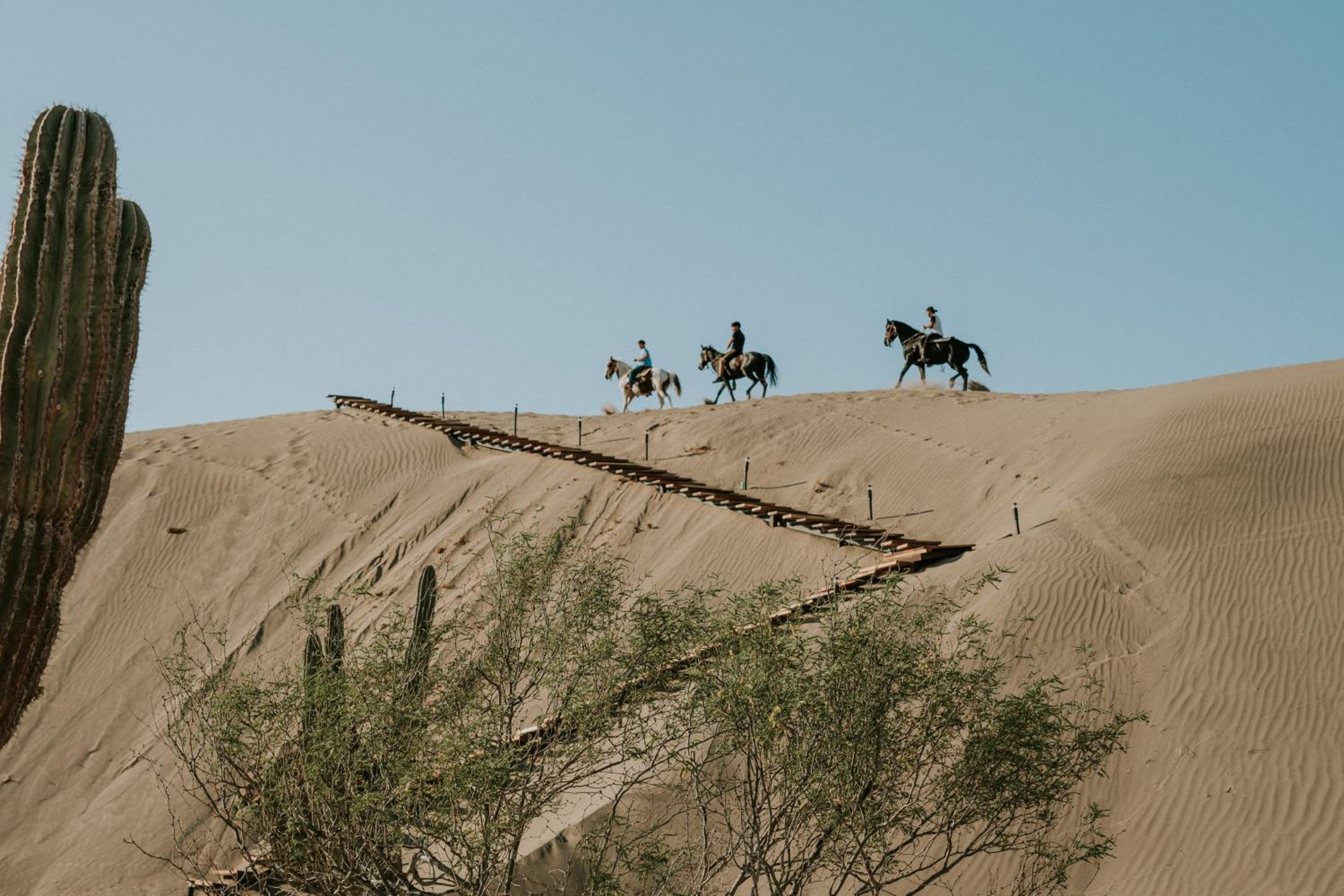 K NAJ Community Glamping view 3