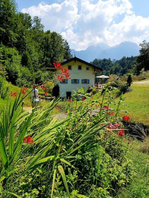 Alte Mühle mit wunderbarem Bergblick