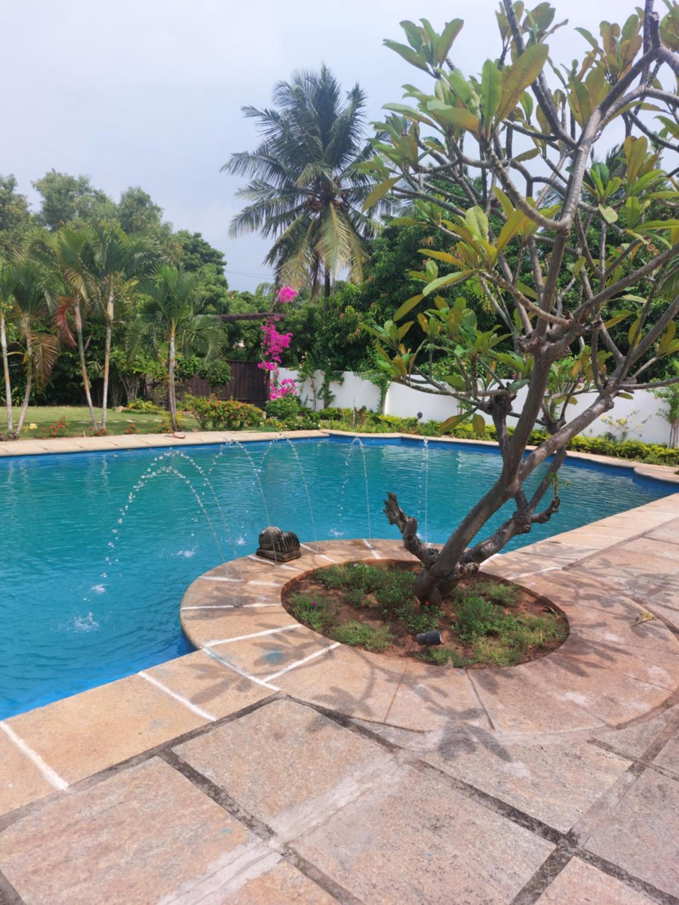 Shiraz Villa