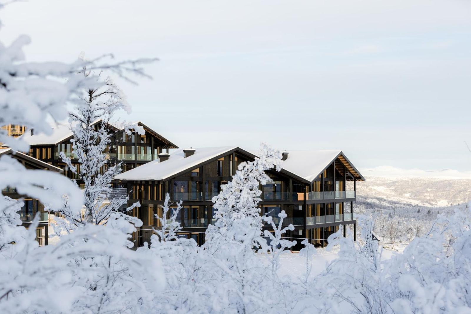Kikut Alpin Lodge Ski in - Ski out view 4