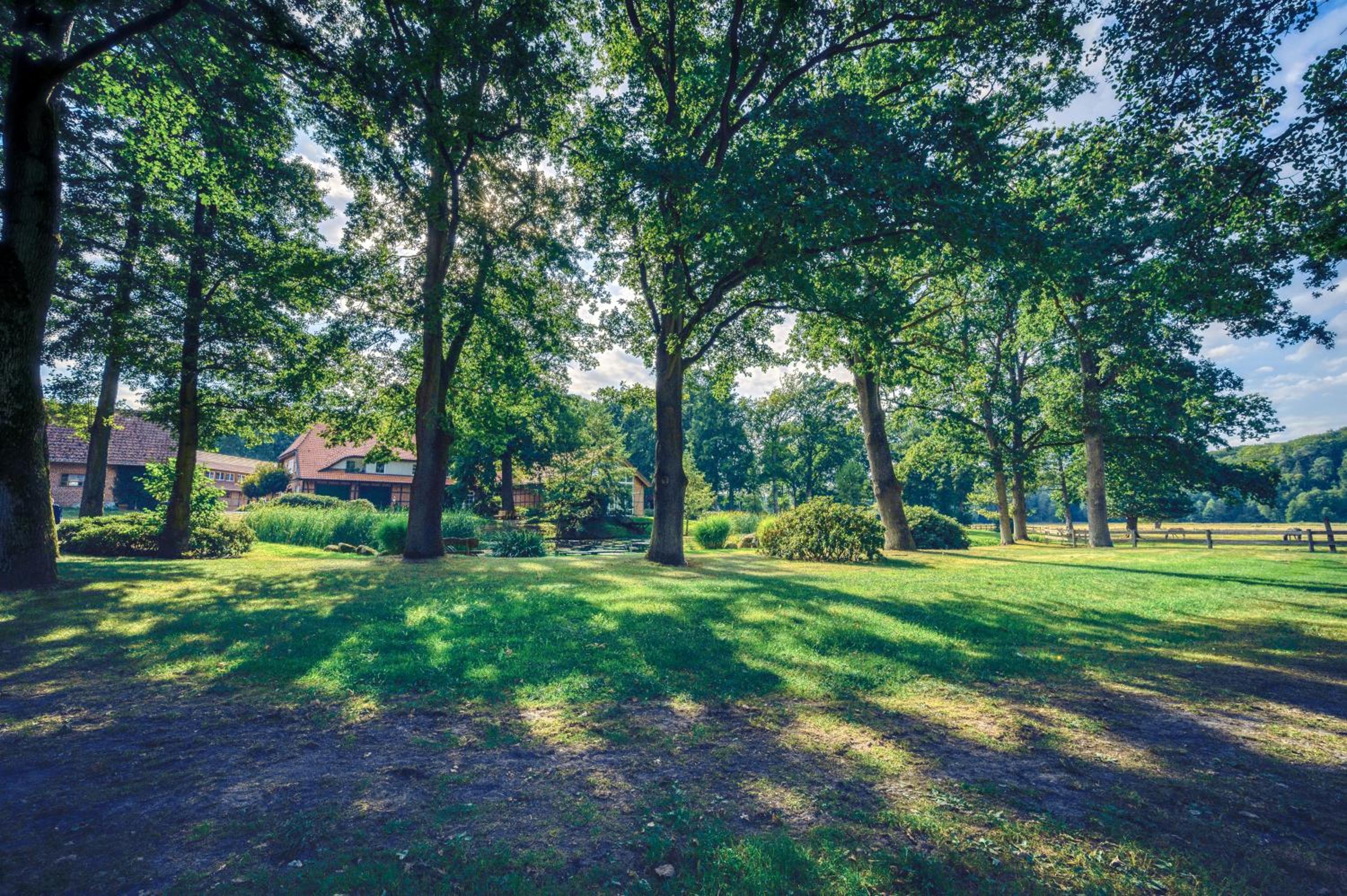Pferdeparadies Untergrünhagen