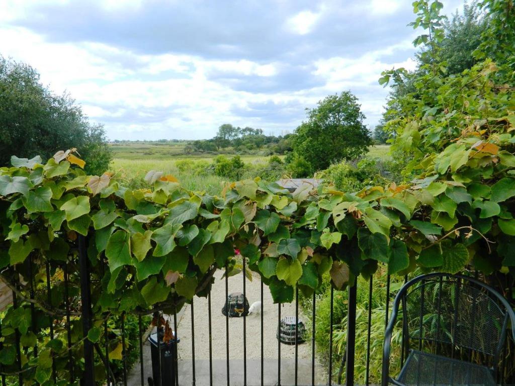 Photo 25