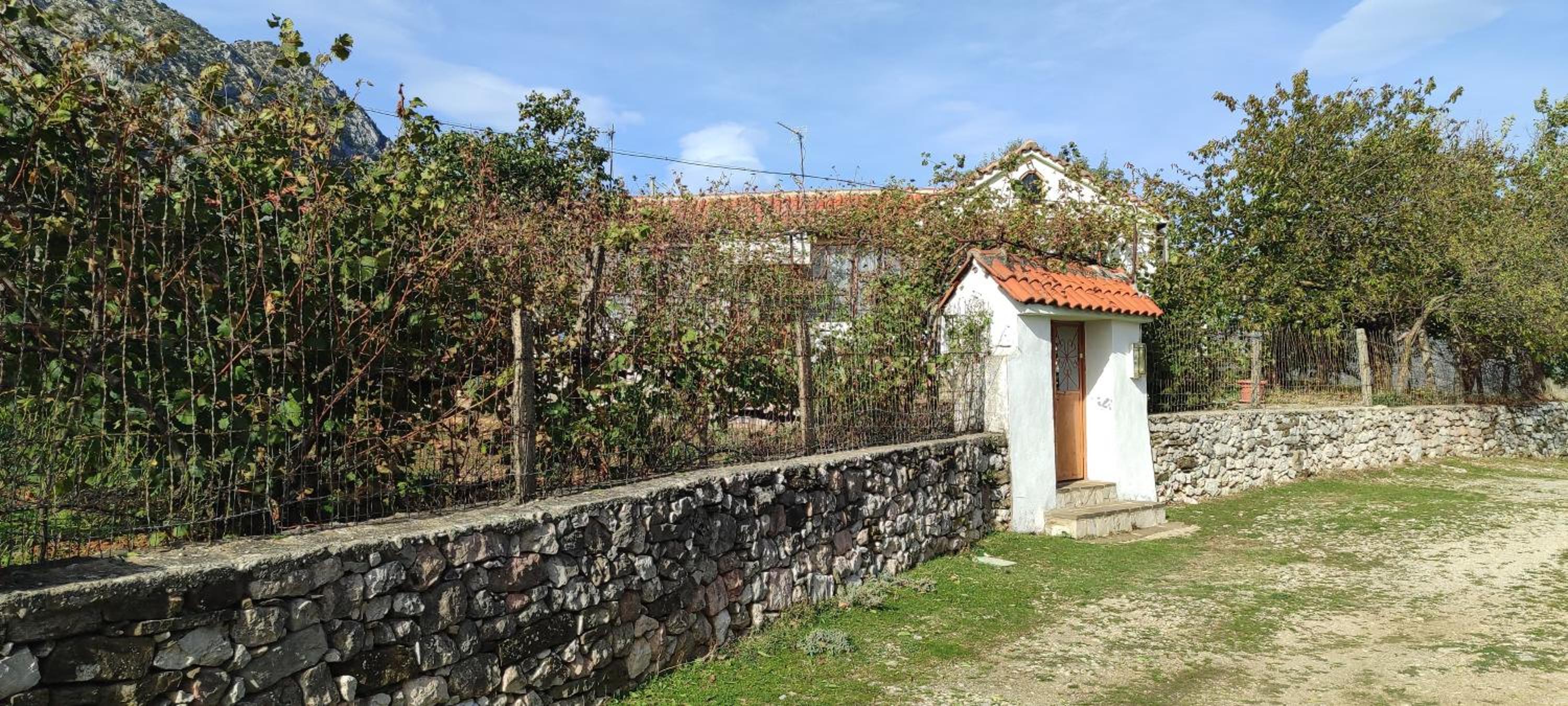 House in Leskovik