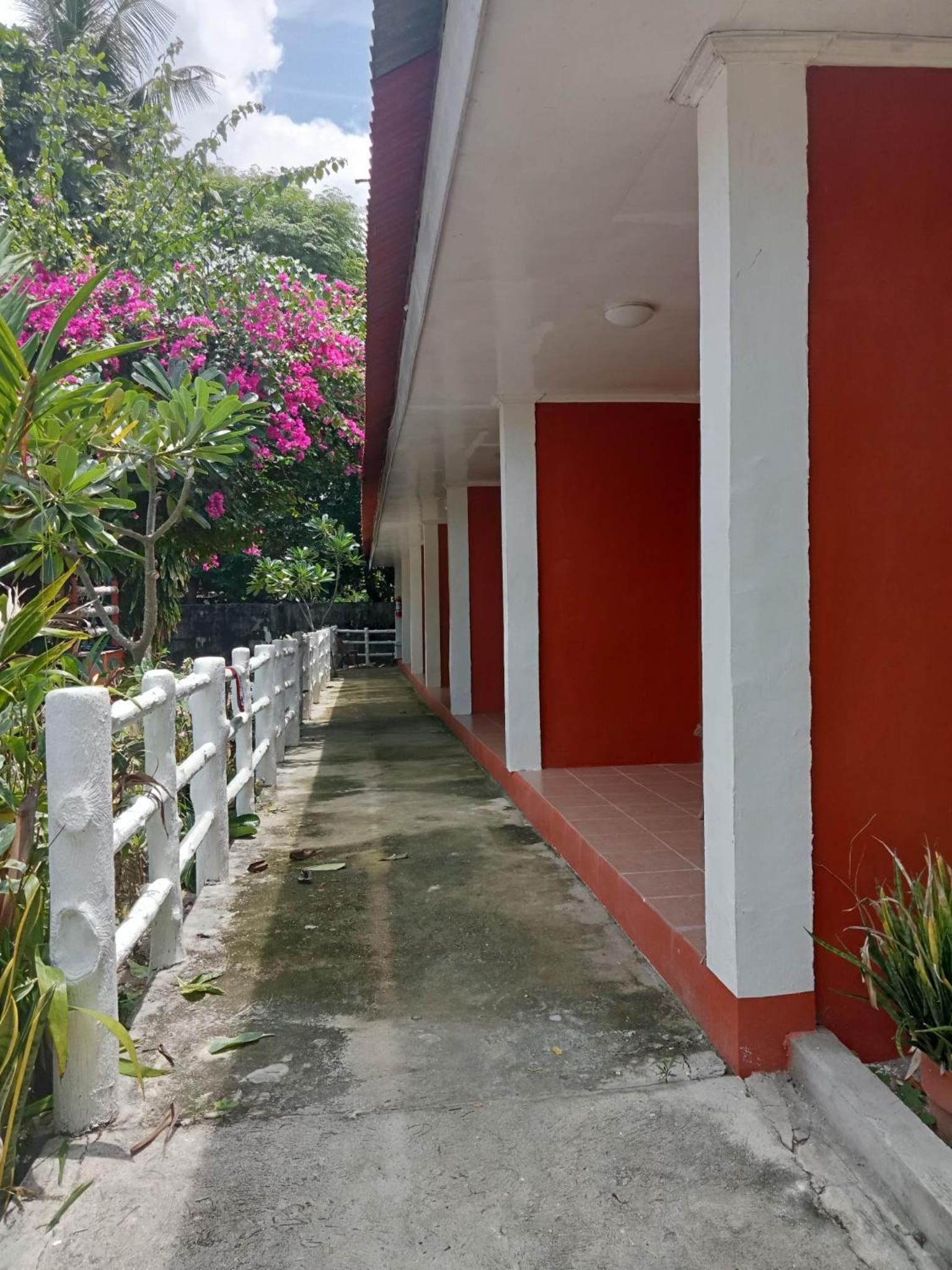 Photo 14