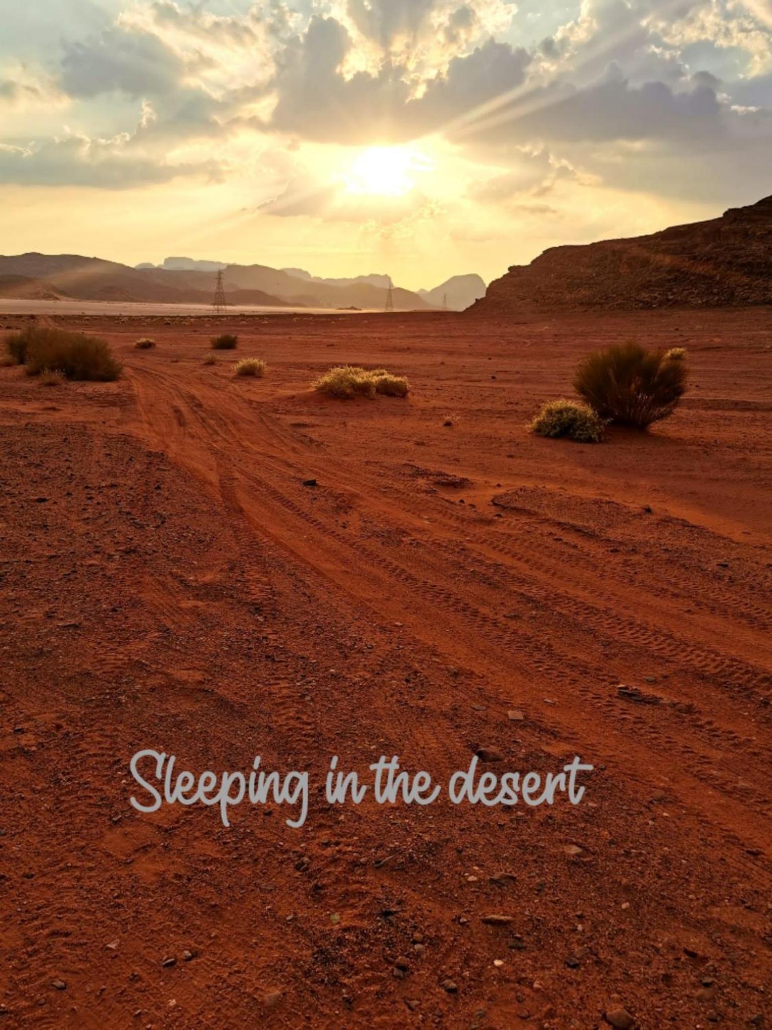Bedouin experiences