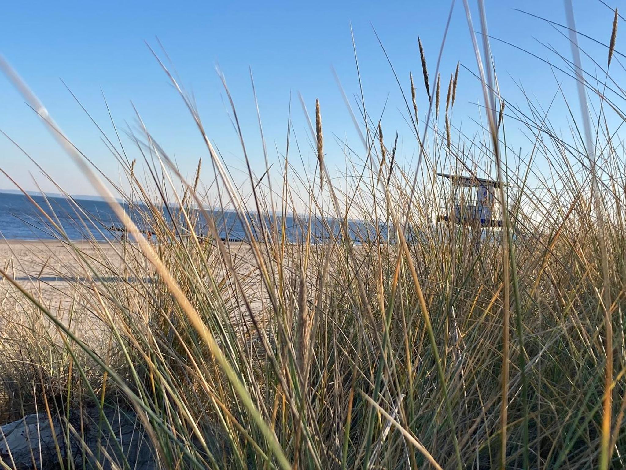 Ferienwohnungen Ostsee & Mehr
