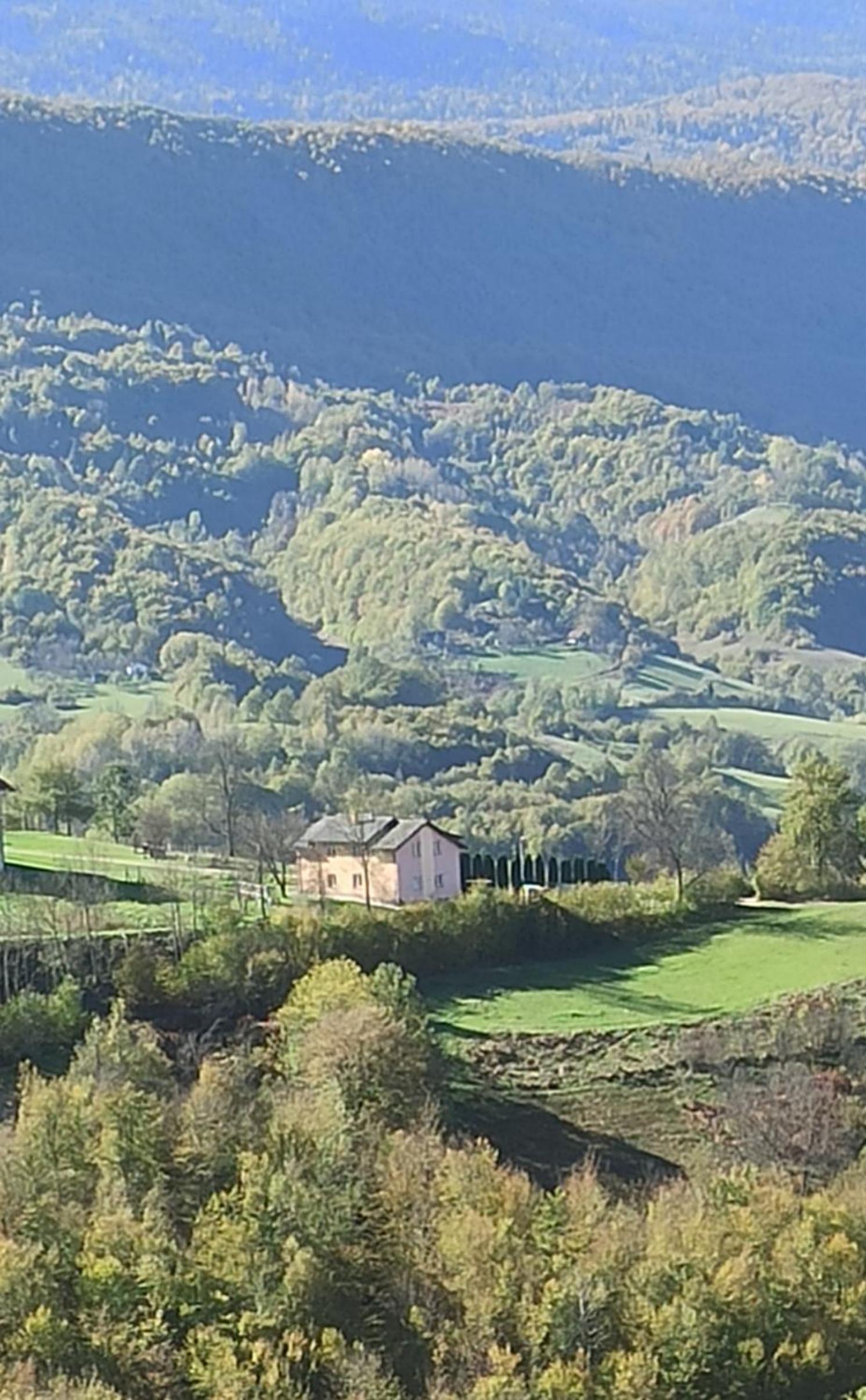 Vila Brdjanka