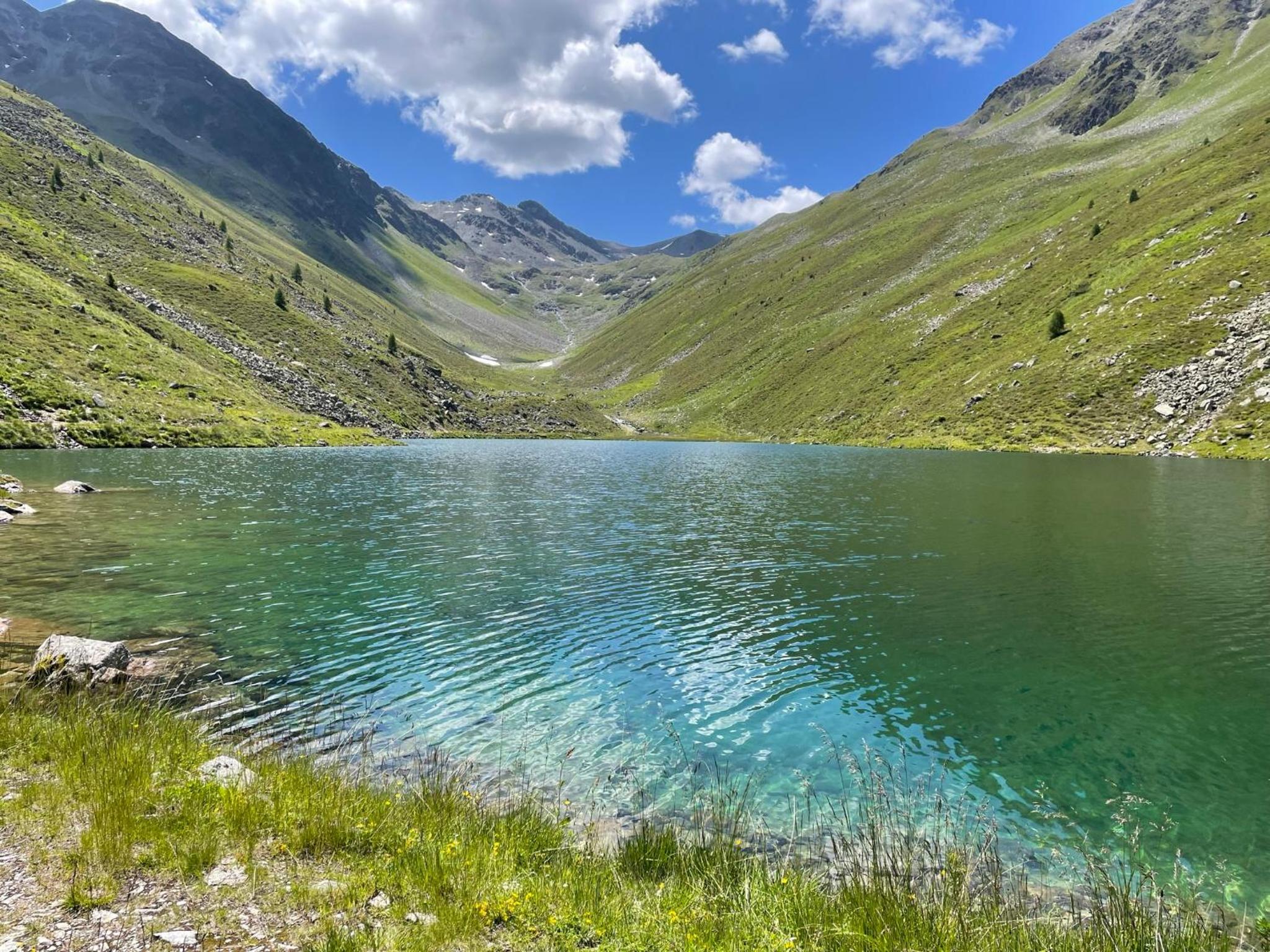 Apart Garni Wiesenhof