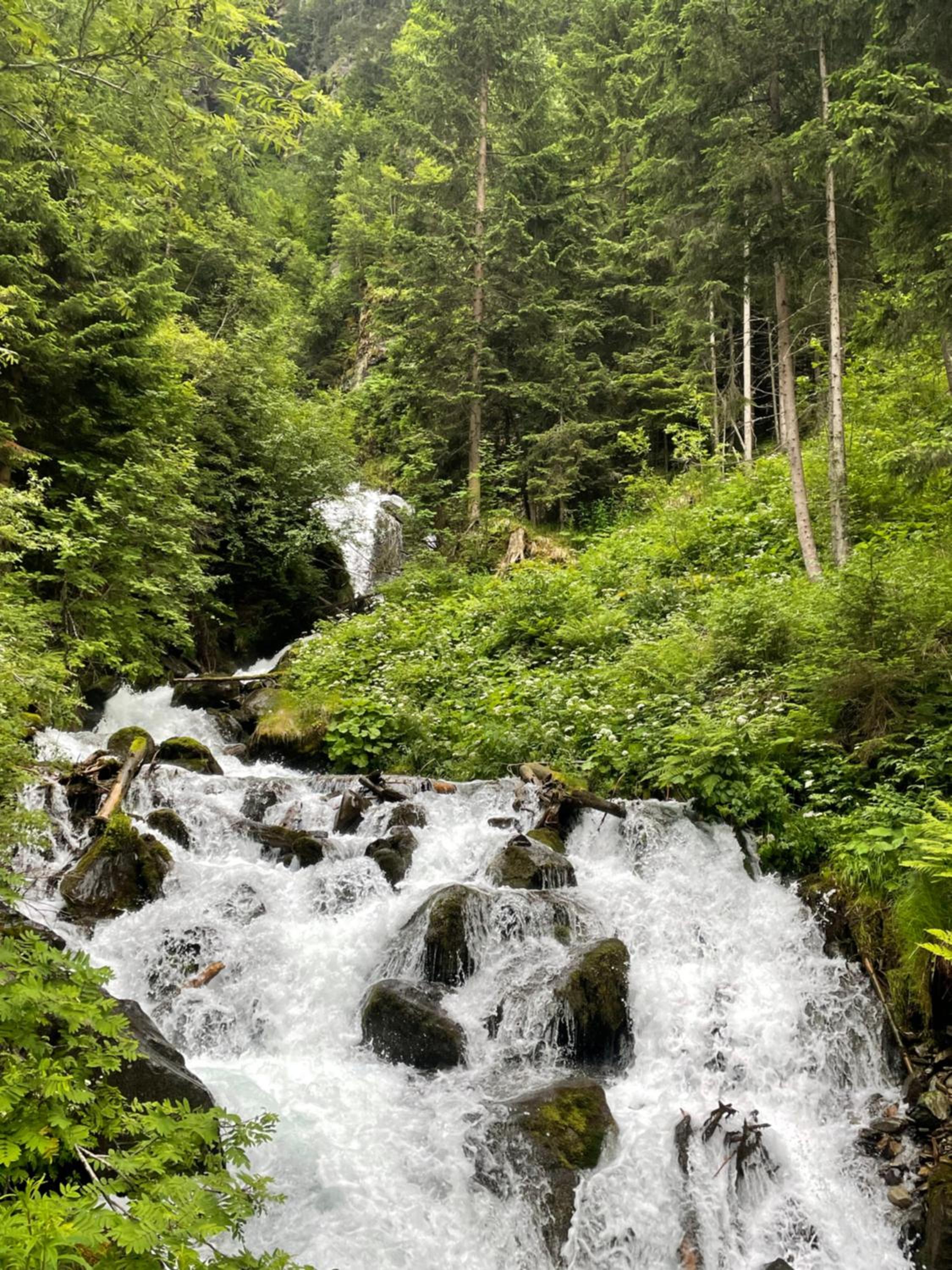 Apart Garni Wiesenhof