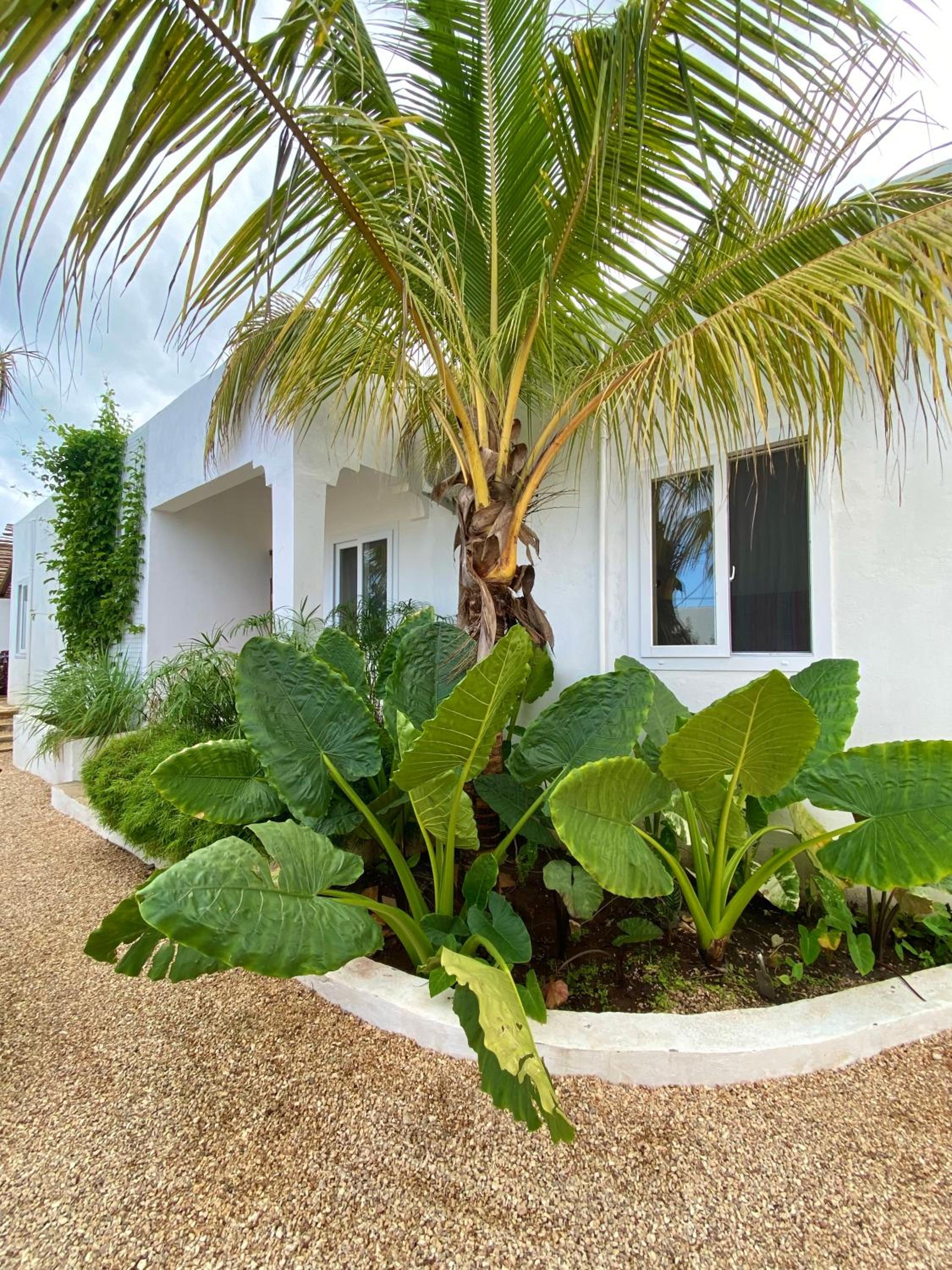 Cactus lodge Zanzibar