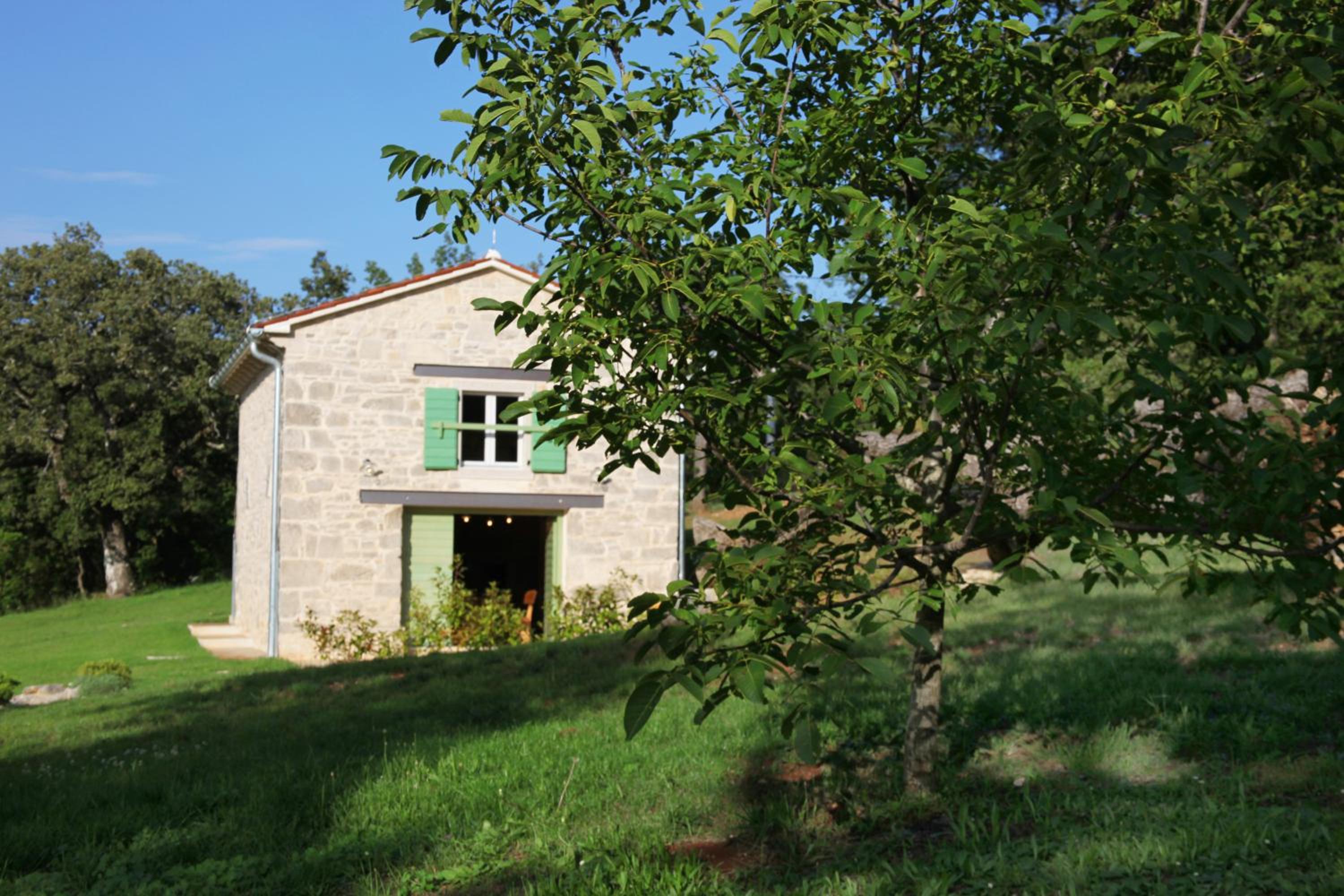 Photo 8