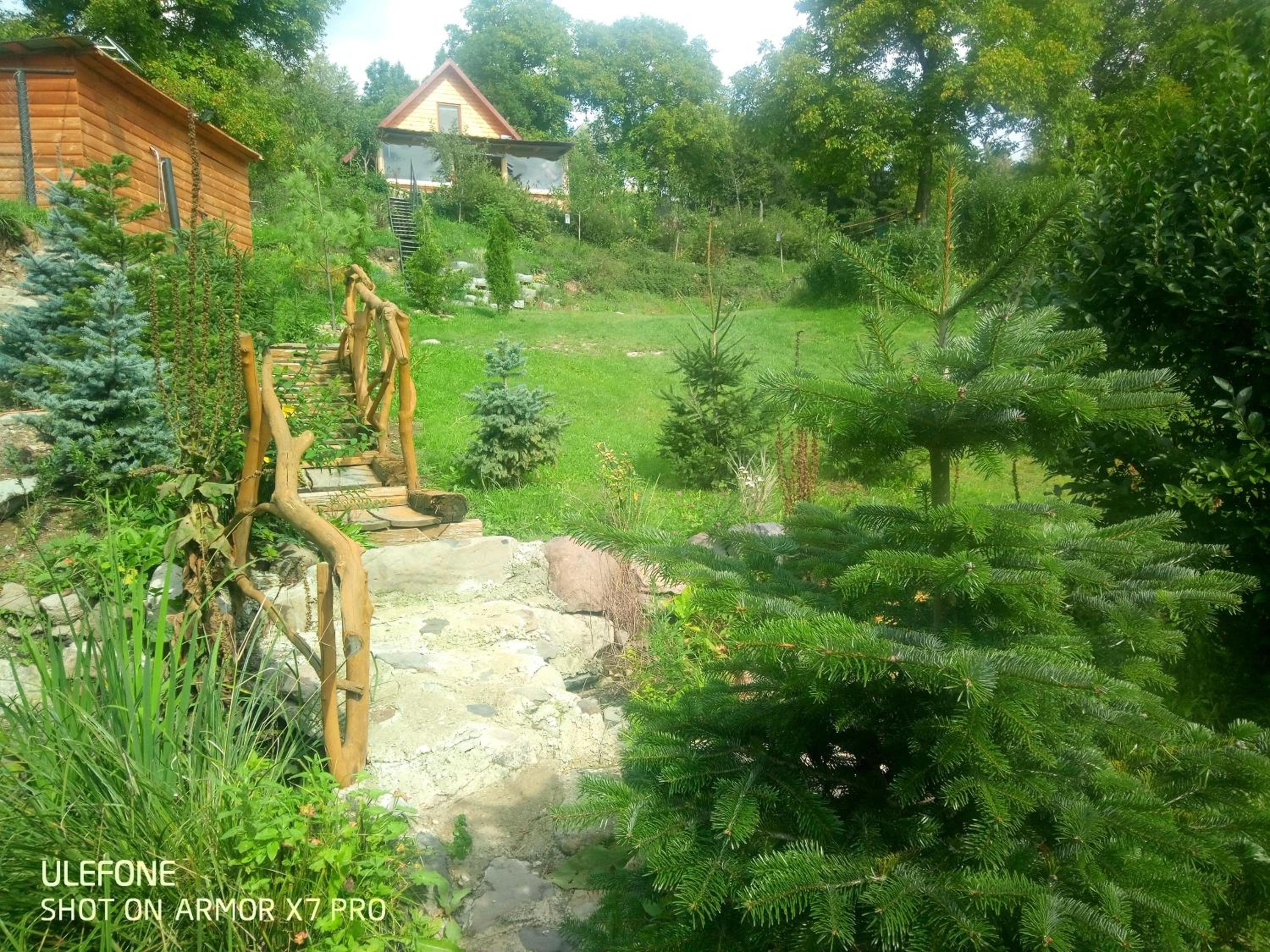 Photo 35