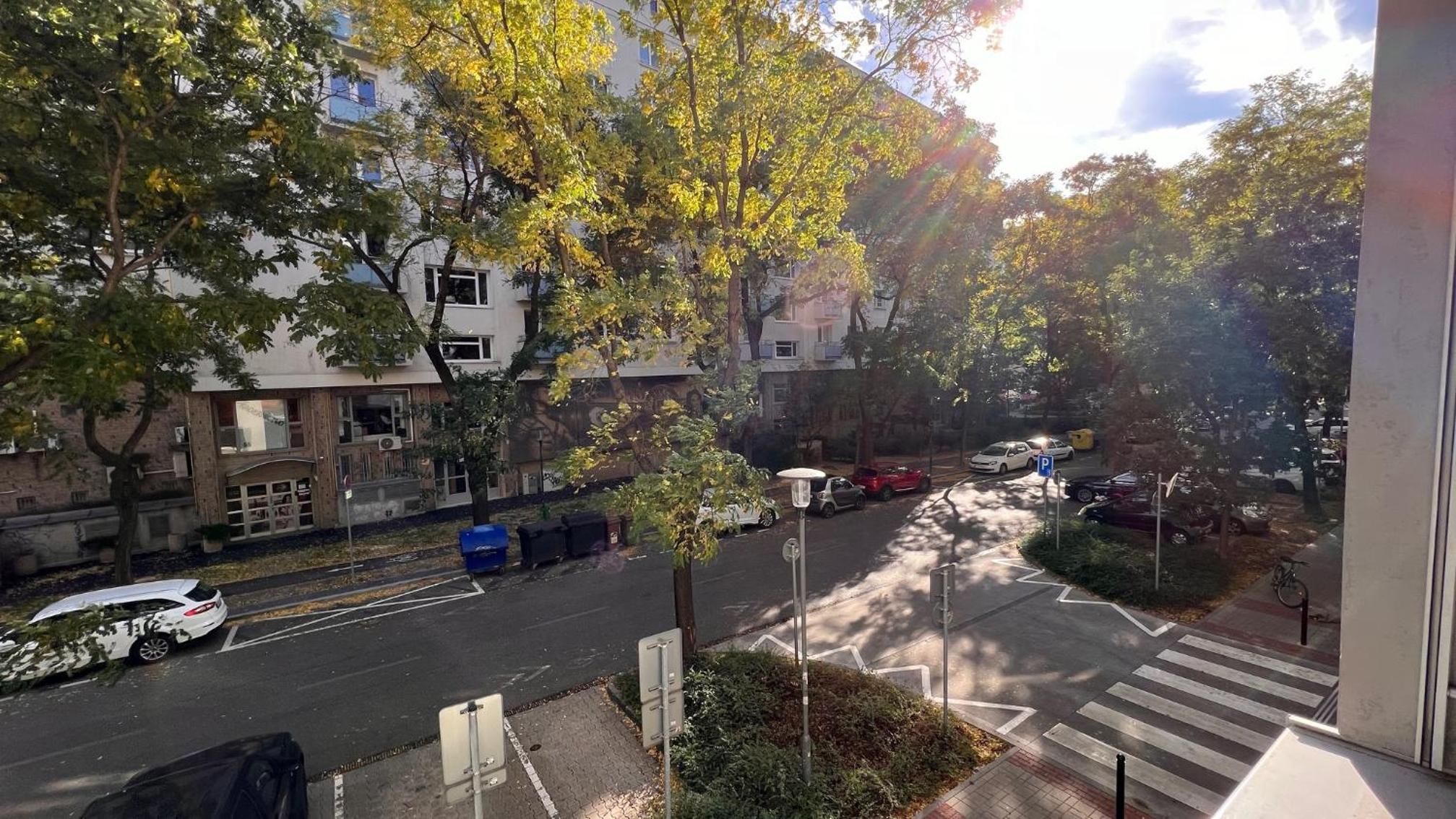 Air Conditioned 2 room apartment, Old City, new building - Stein view 3