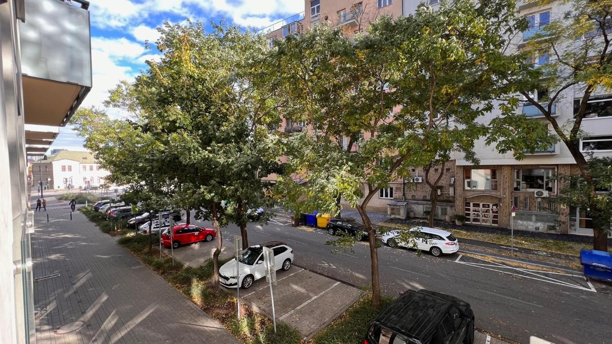 Air Conditioned 2 room apartment, Old City, new building - Stein view 4