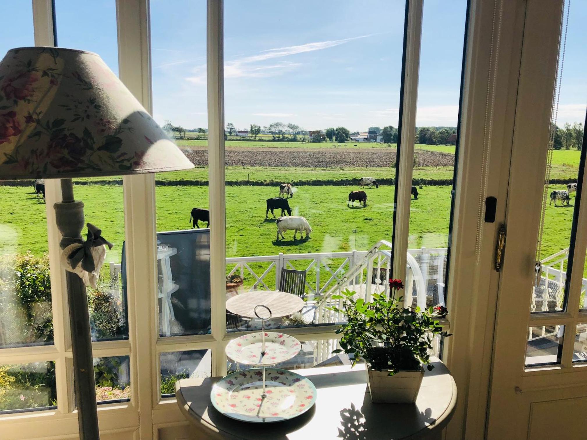 Bed & Breakfast Het Zilte Zand - luxe ontbijt - gratis parking - Westende Middelkerke