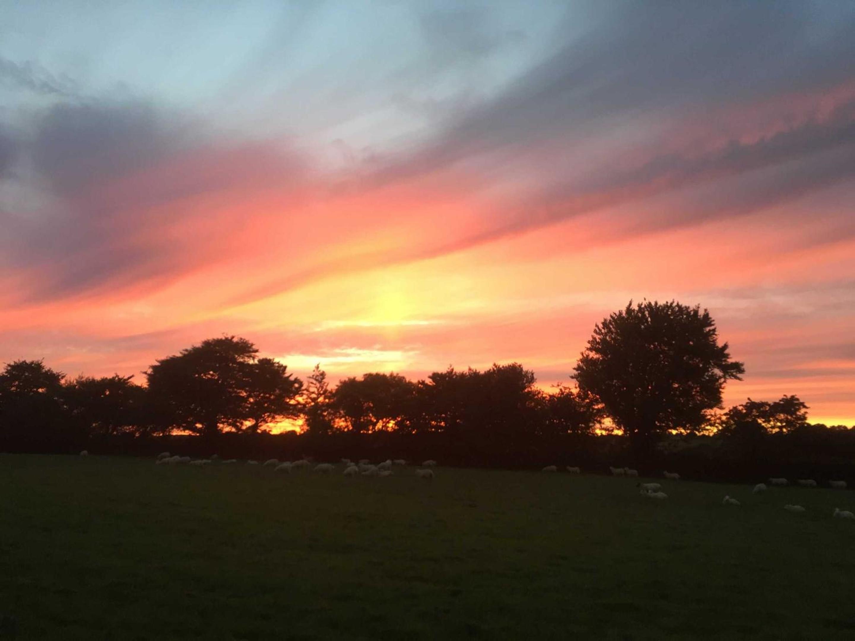 Holsworthy Holiday Cottages