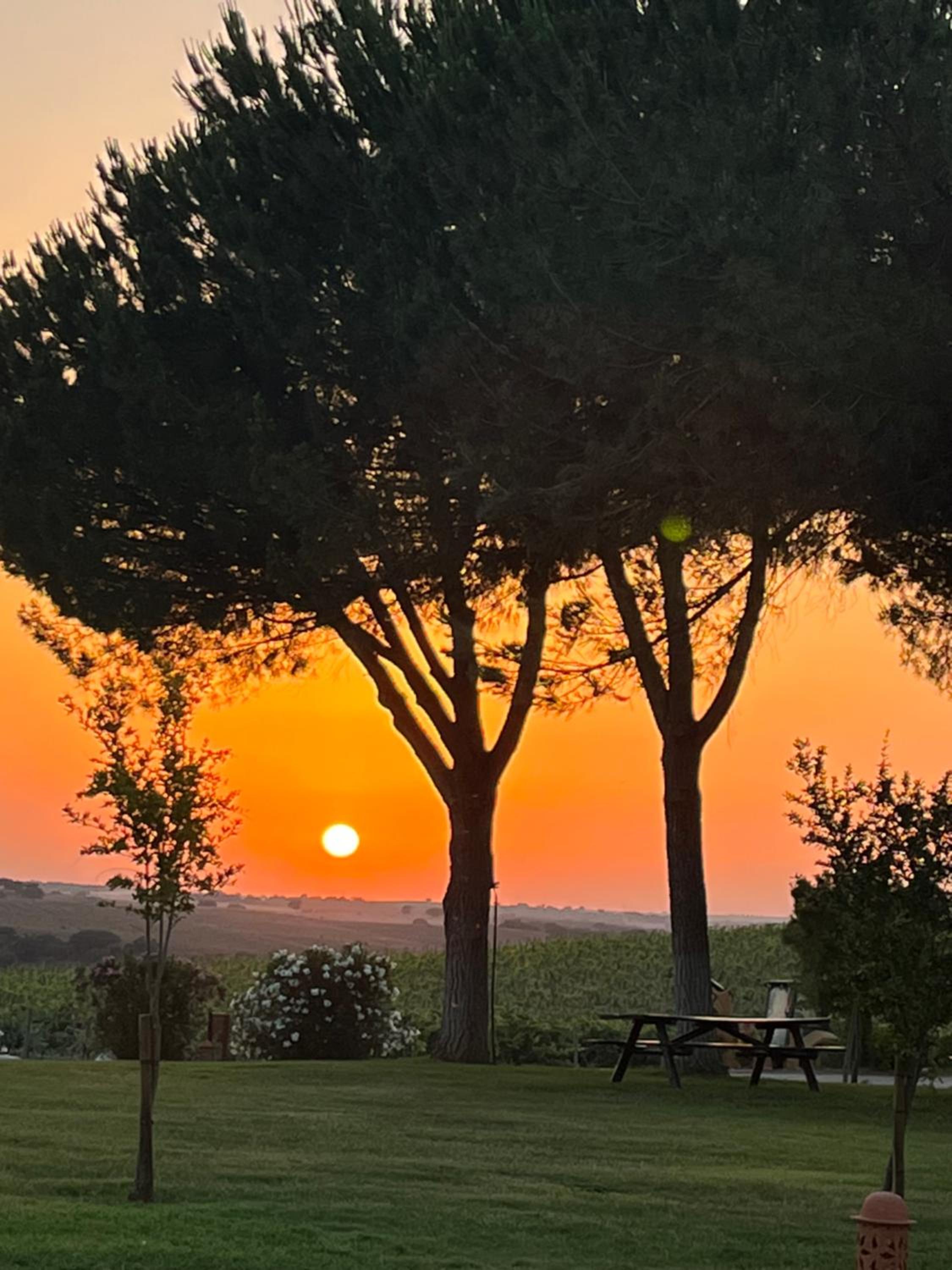 Quinta Da Amoreira view 3