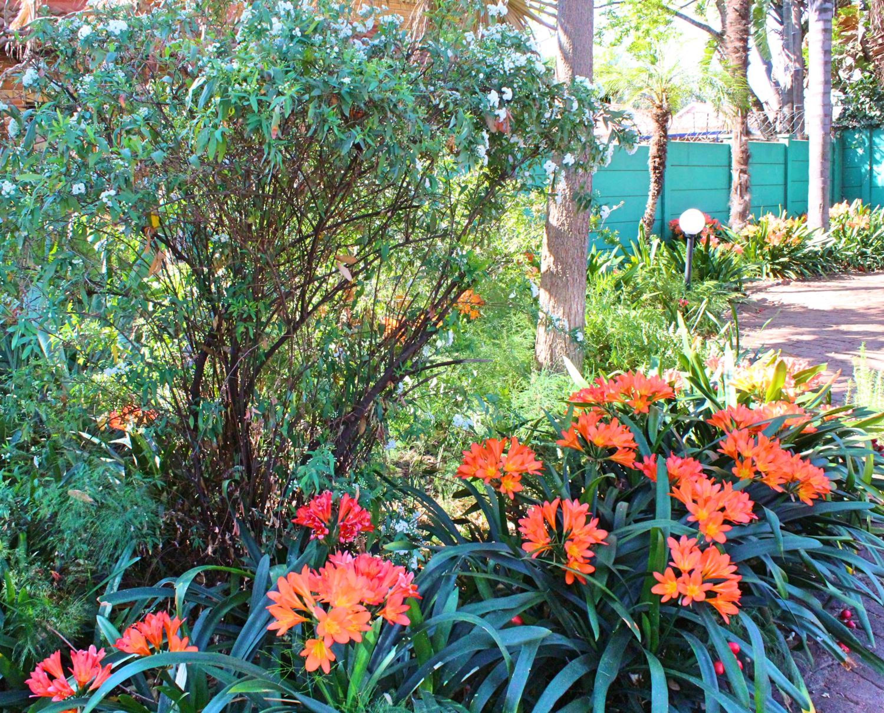 Photo 44