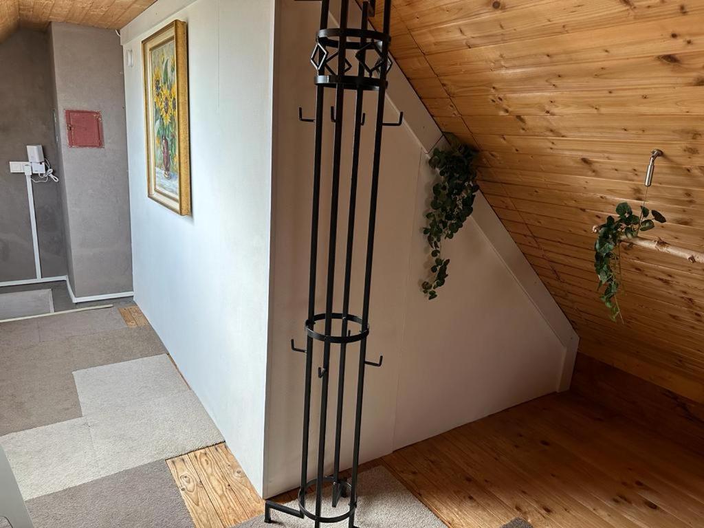 Apartment Haus Aktiv Top