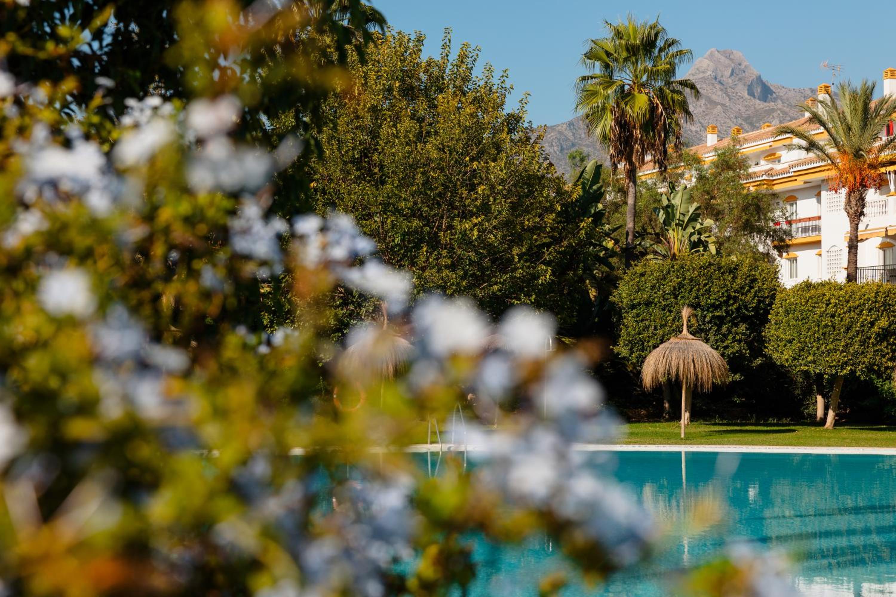 Marbella Vacations - Cozy holiday home in Dama de noche in Puerto Banus - Property Image 16