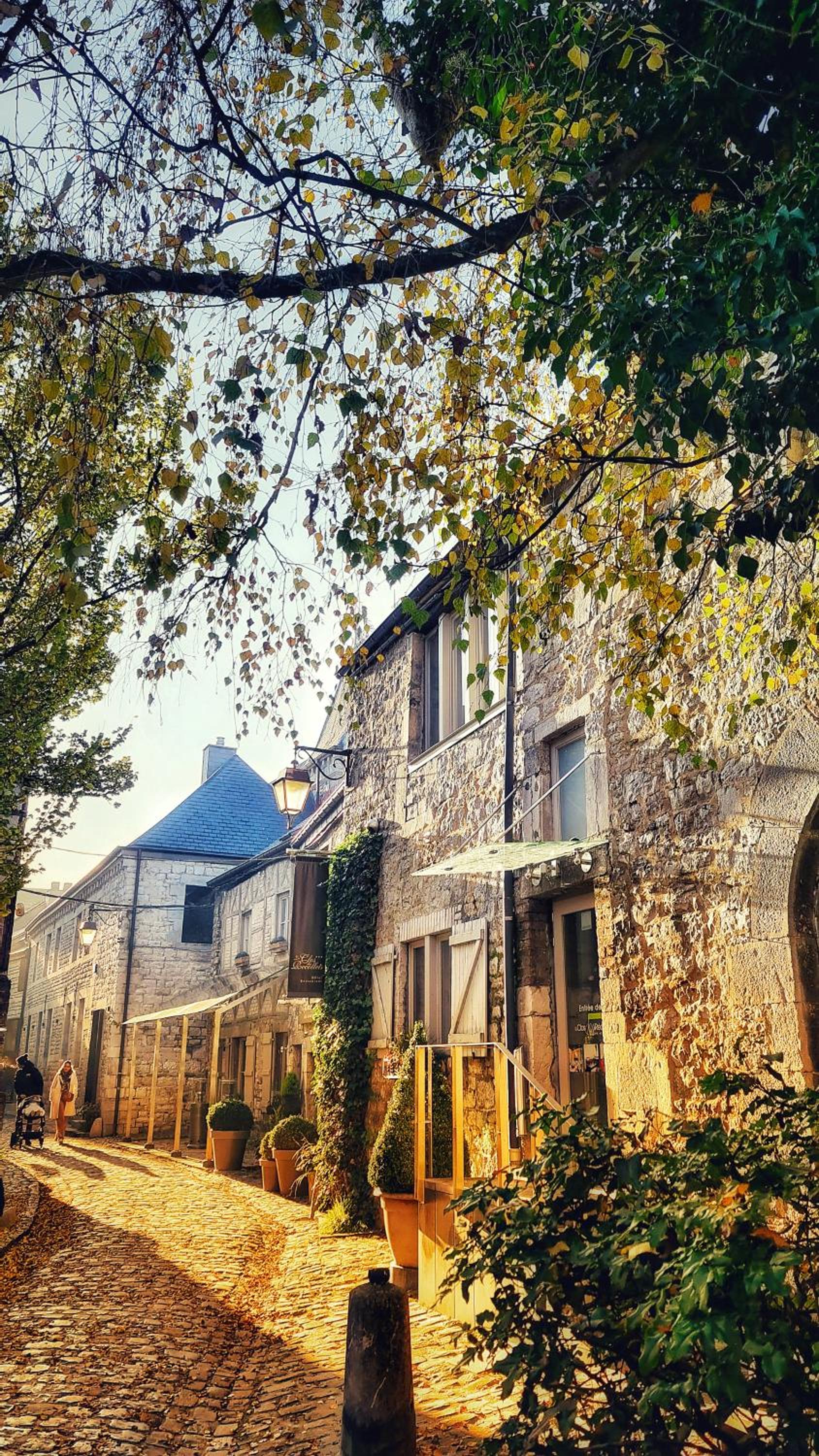 The Deer Lodge Durbuy