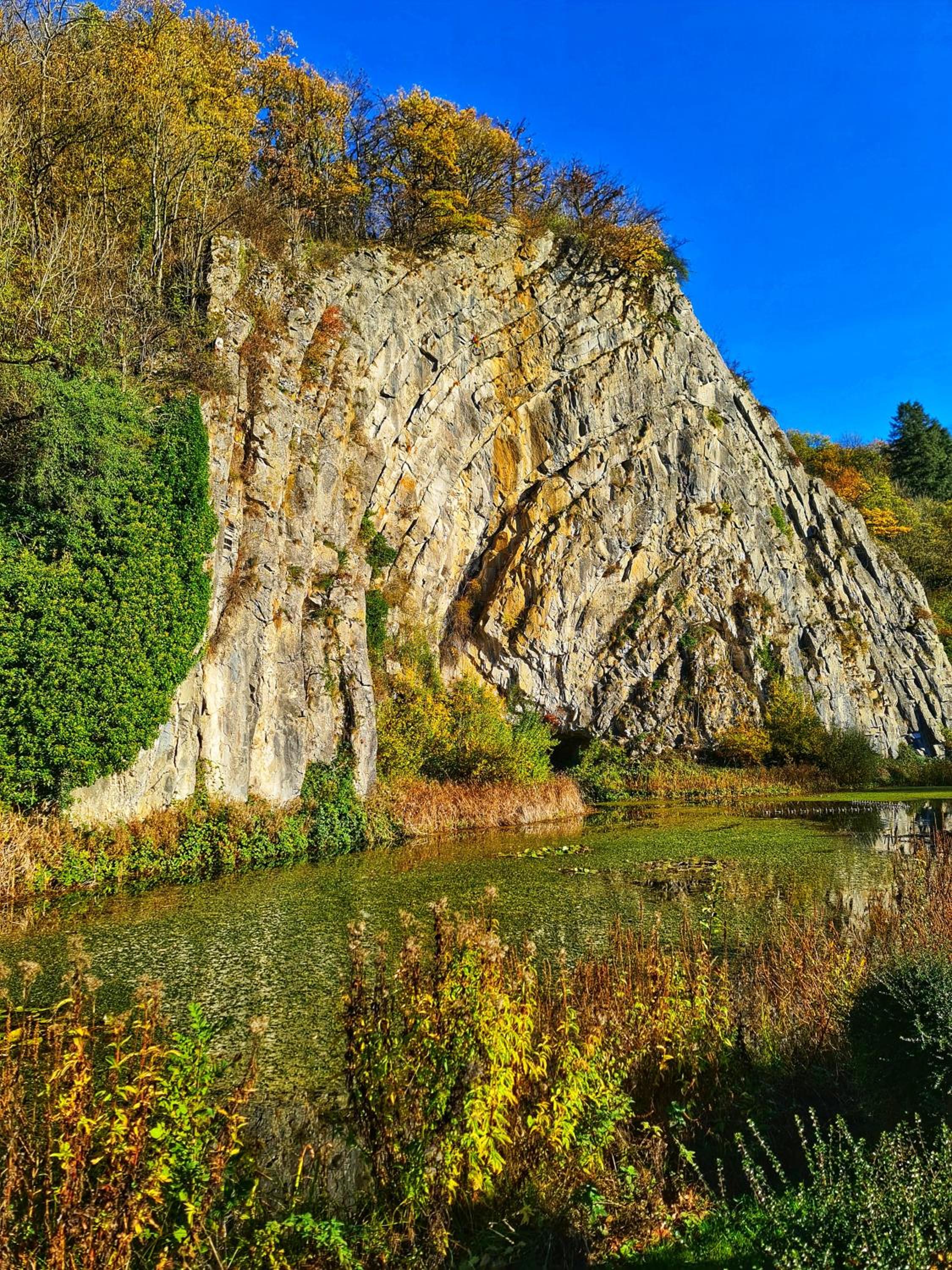 The Deer Lodge Durbuy