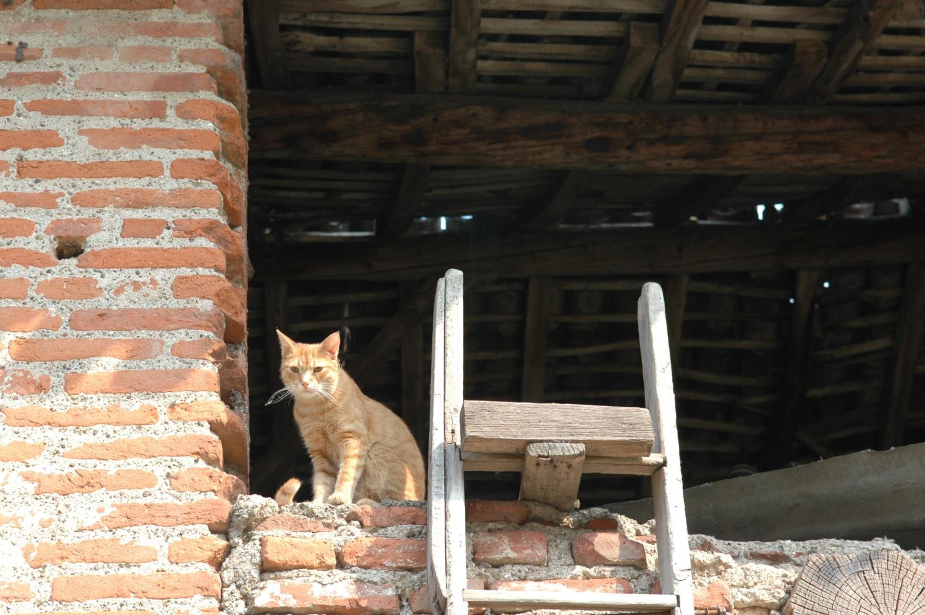 Cascina Scanna