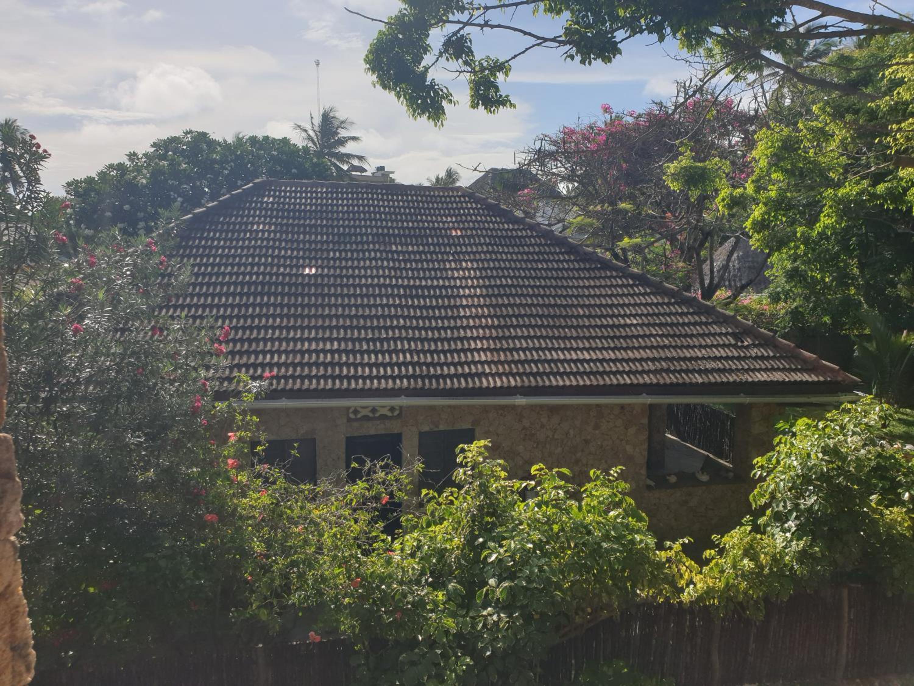 Photo 189