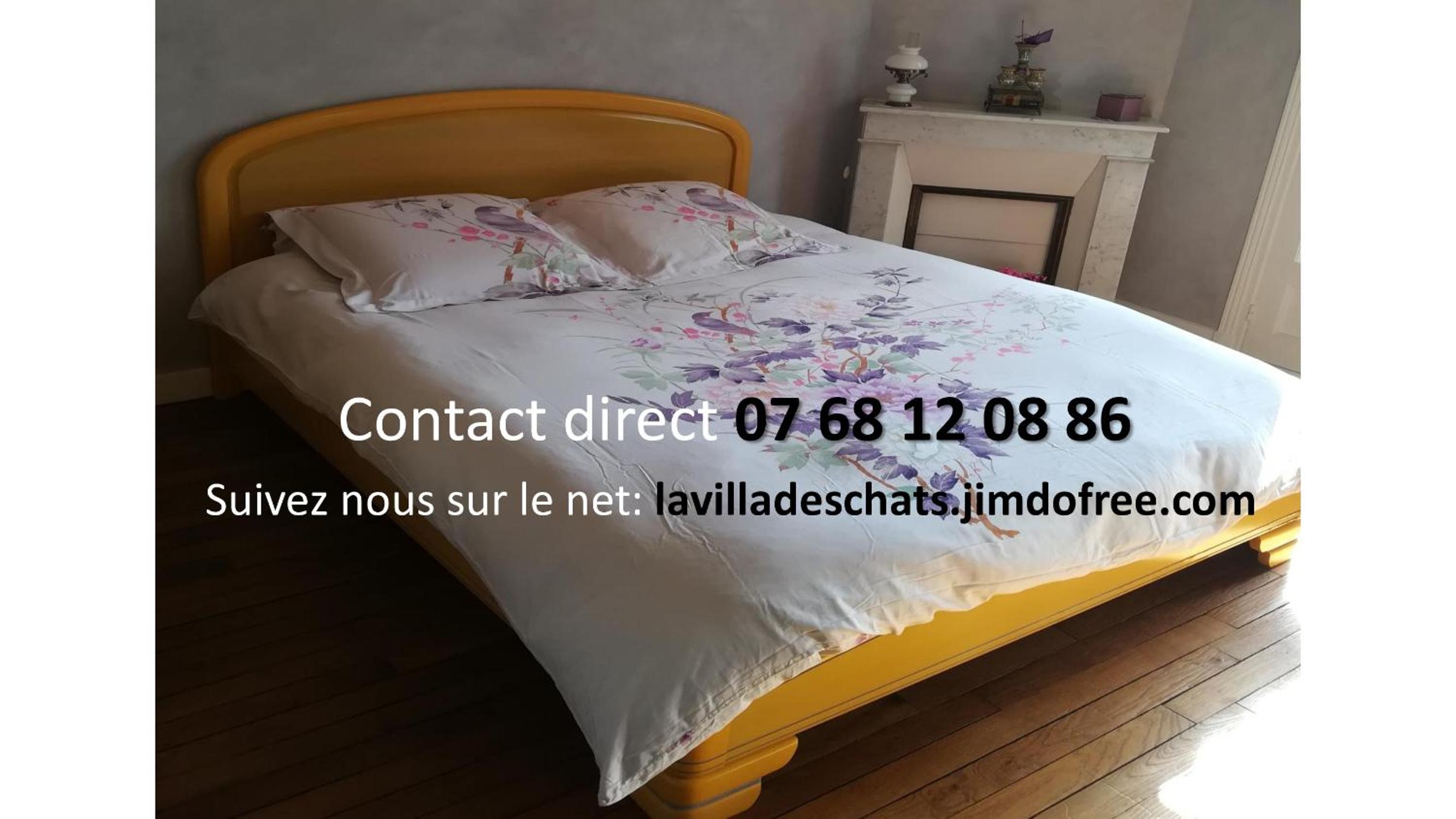la villa des chats view 4