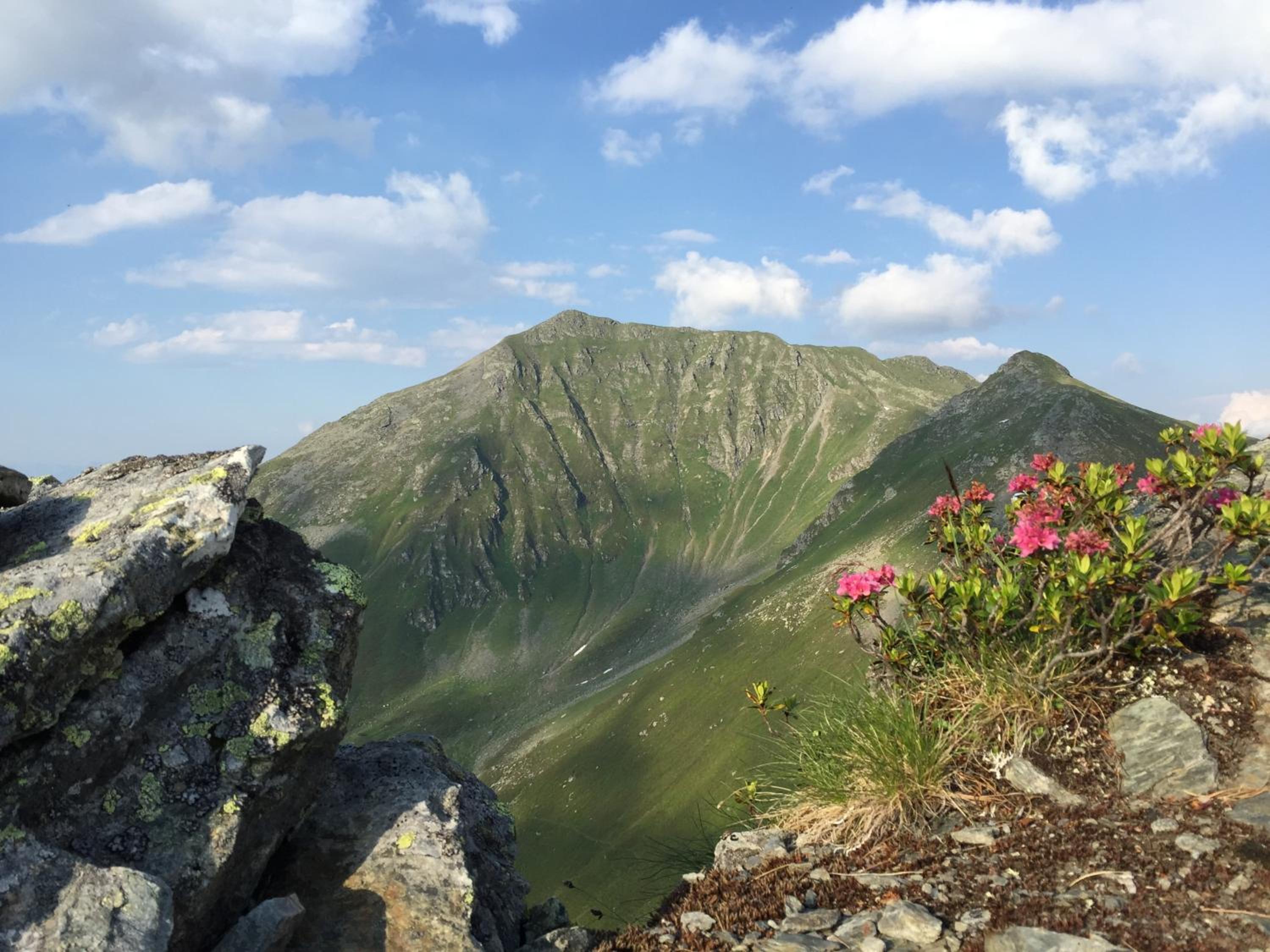 Das Alpbach Juwel