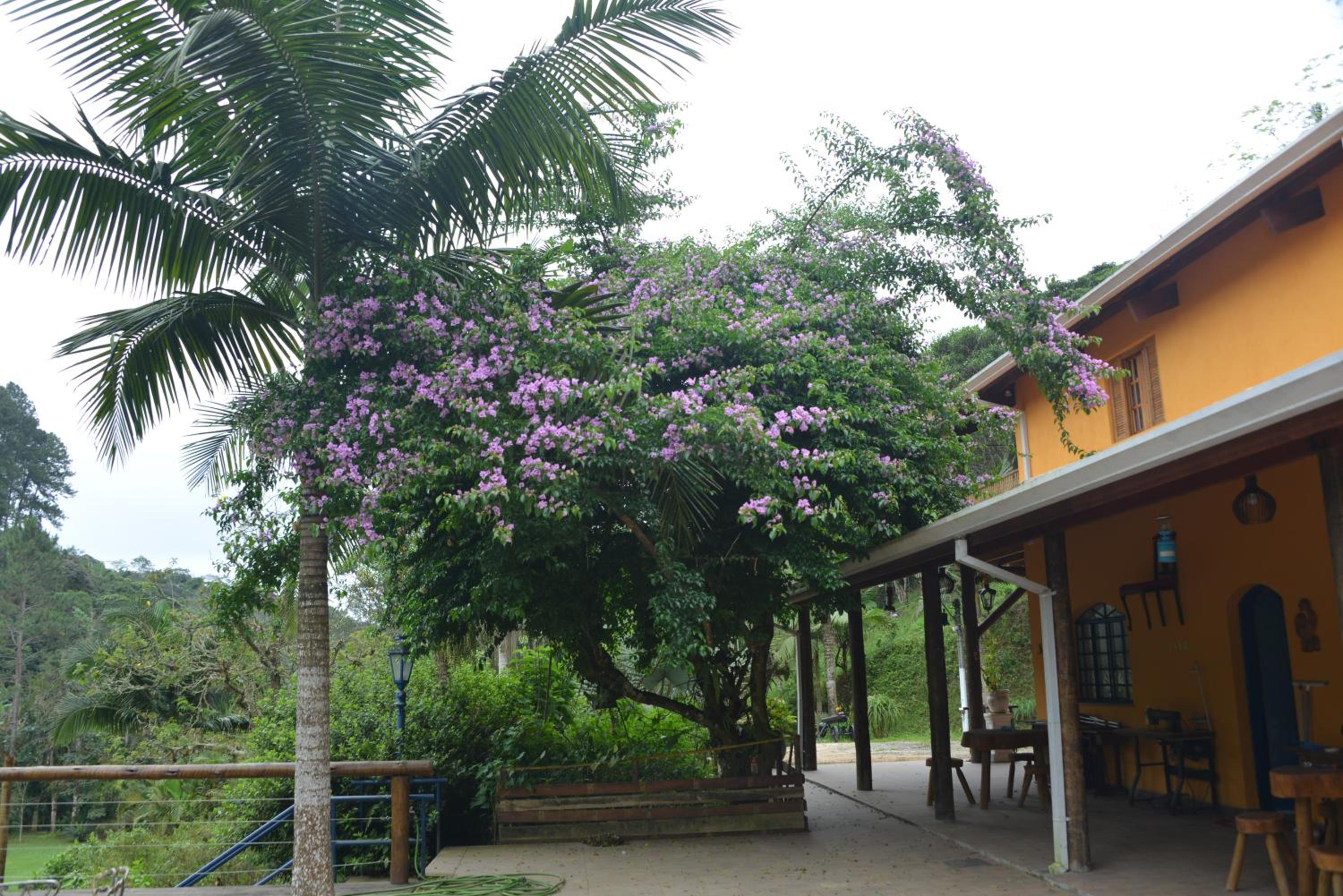 Rancho Potala