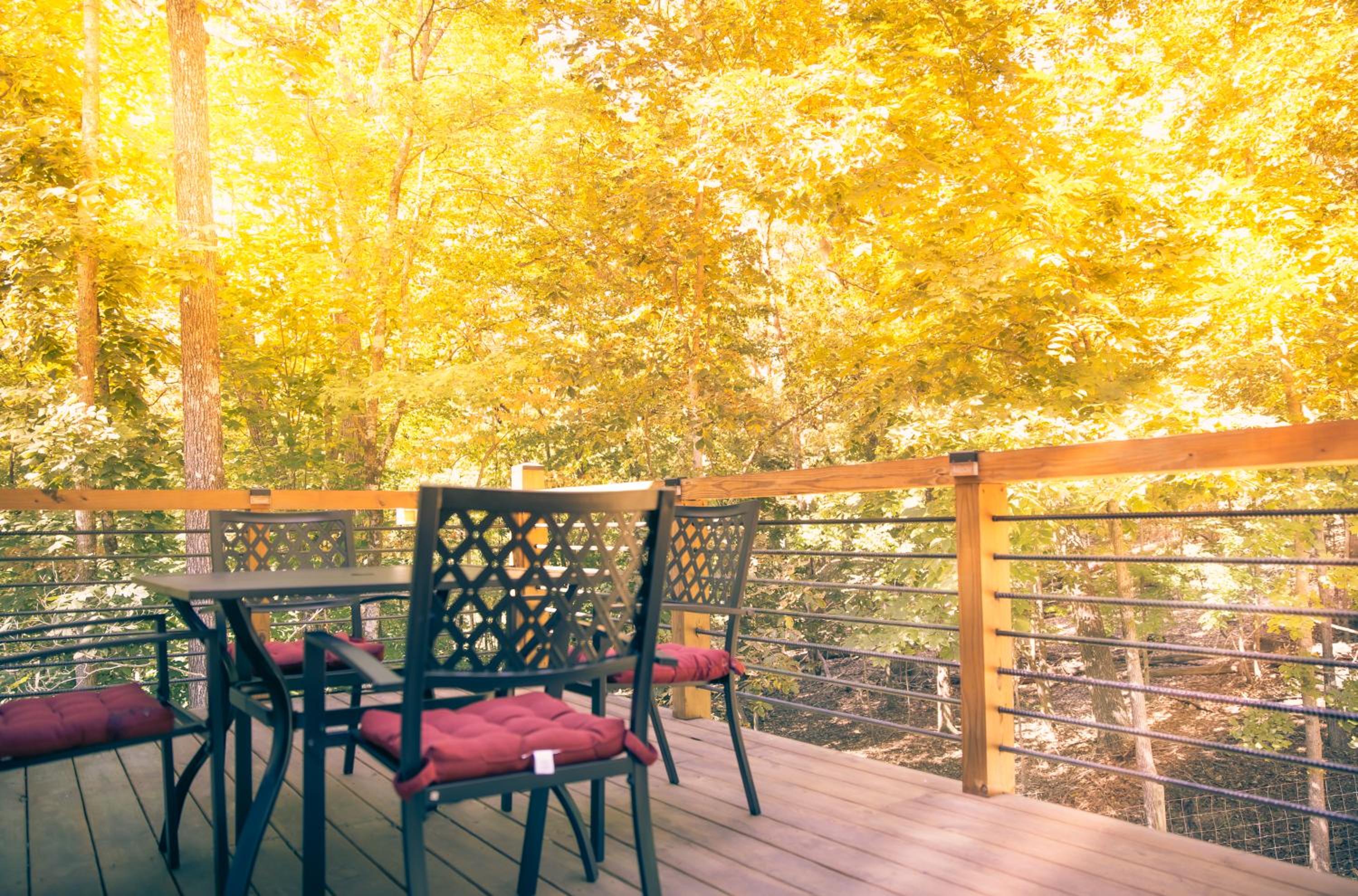 balance & terrace