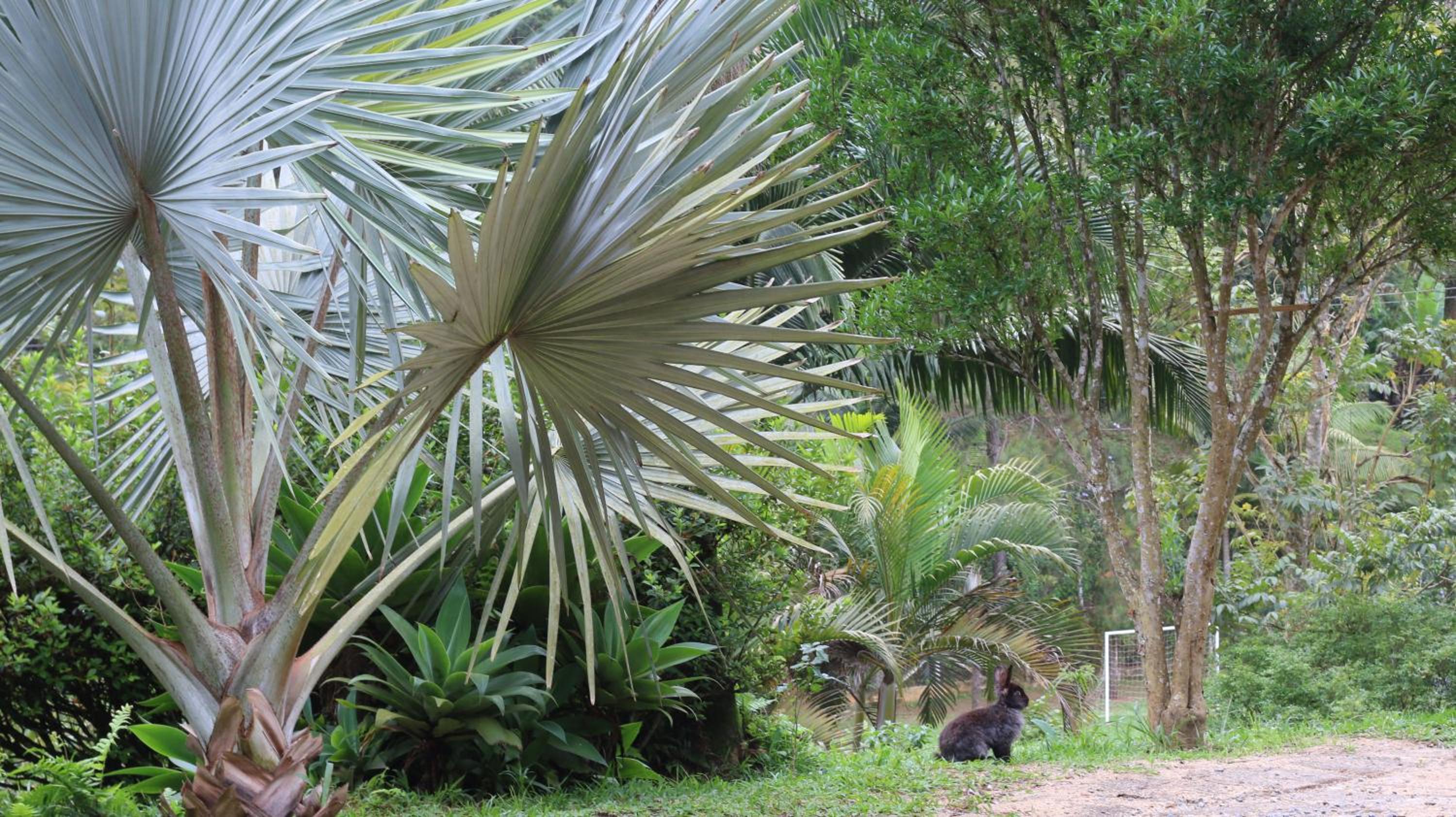 Rancho Potala