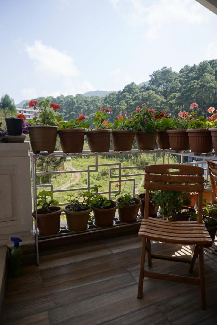 Dorsen Homestay