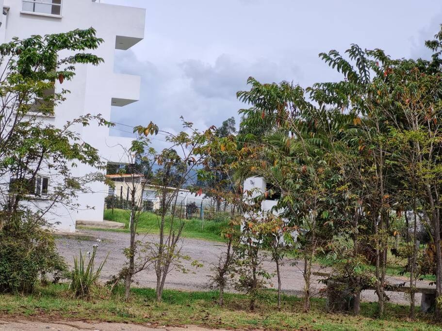 Casa Villa Container