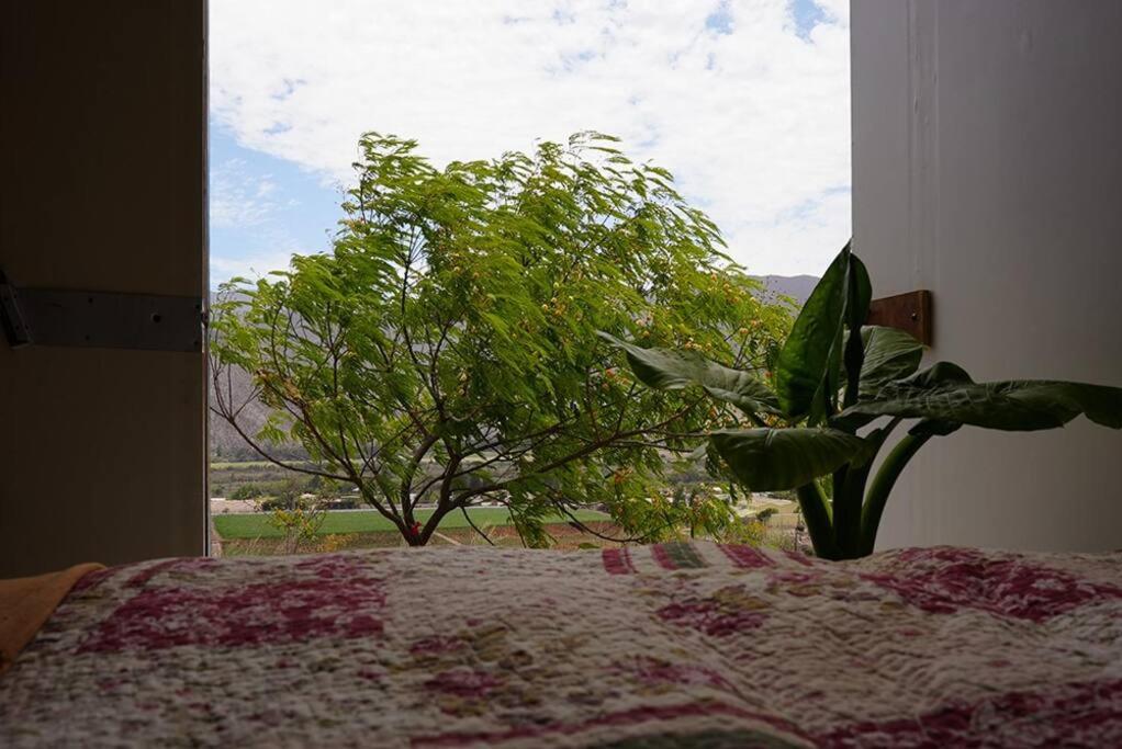 cabaña pukara de la calera VALLE DE ELQUI