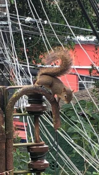 Recanto dos Pássaros em Petrópolis