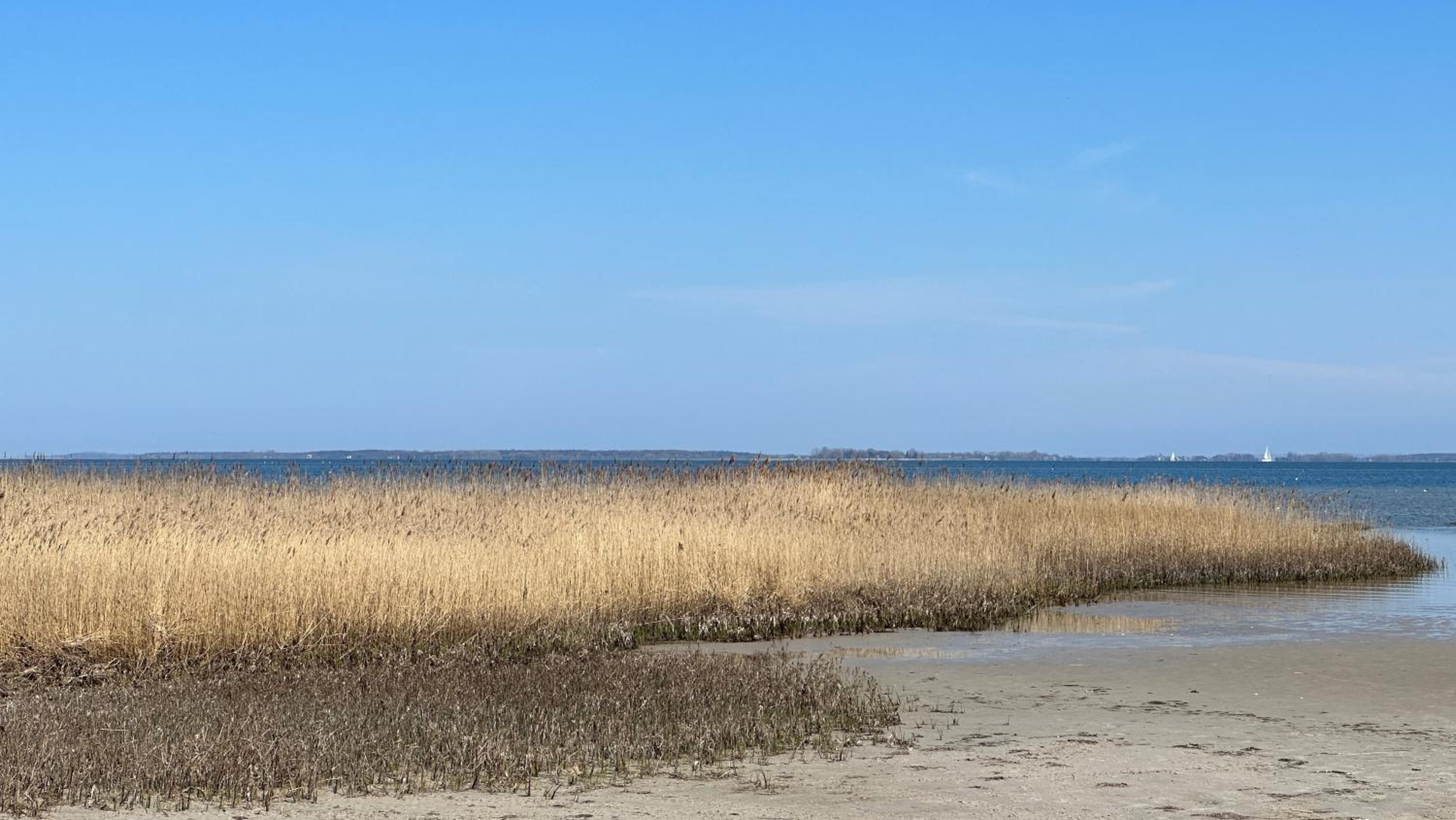 Ferienhaus Boddenblick Klausdorf Am Nationalpark
