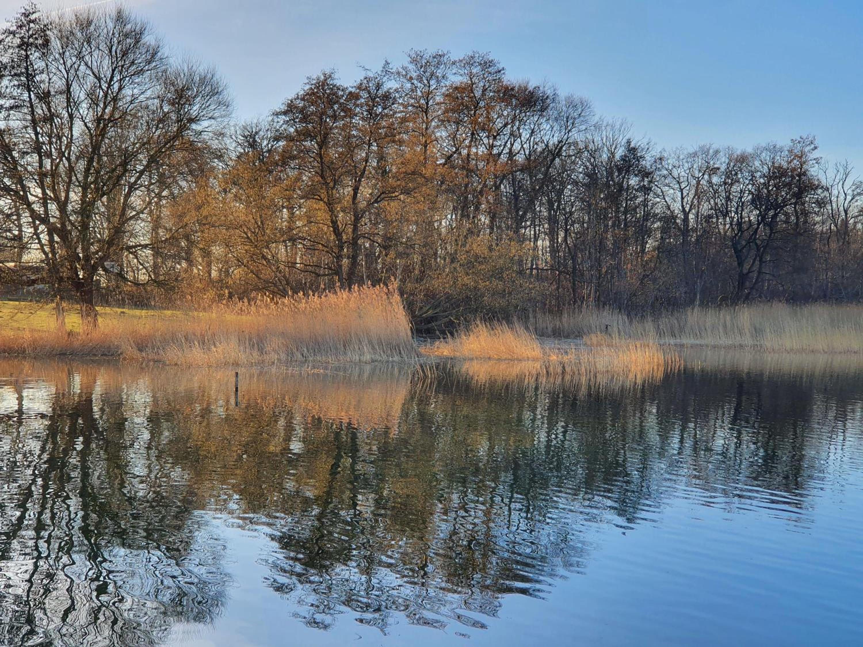 Idyllisches-Blockbohlenhaus-mit-eigenem-Garten-und-Sauna-zum-Wohlfuehlen