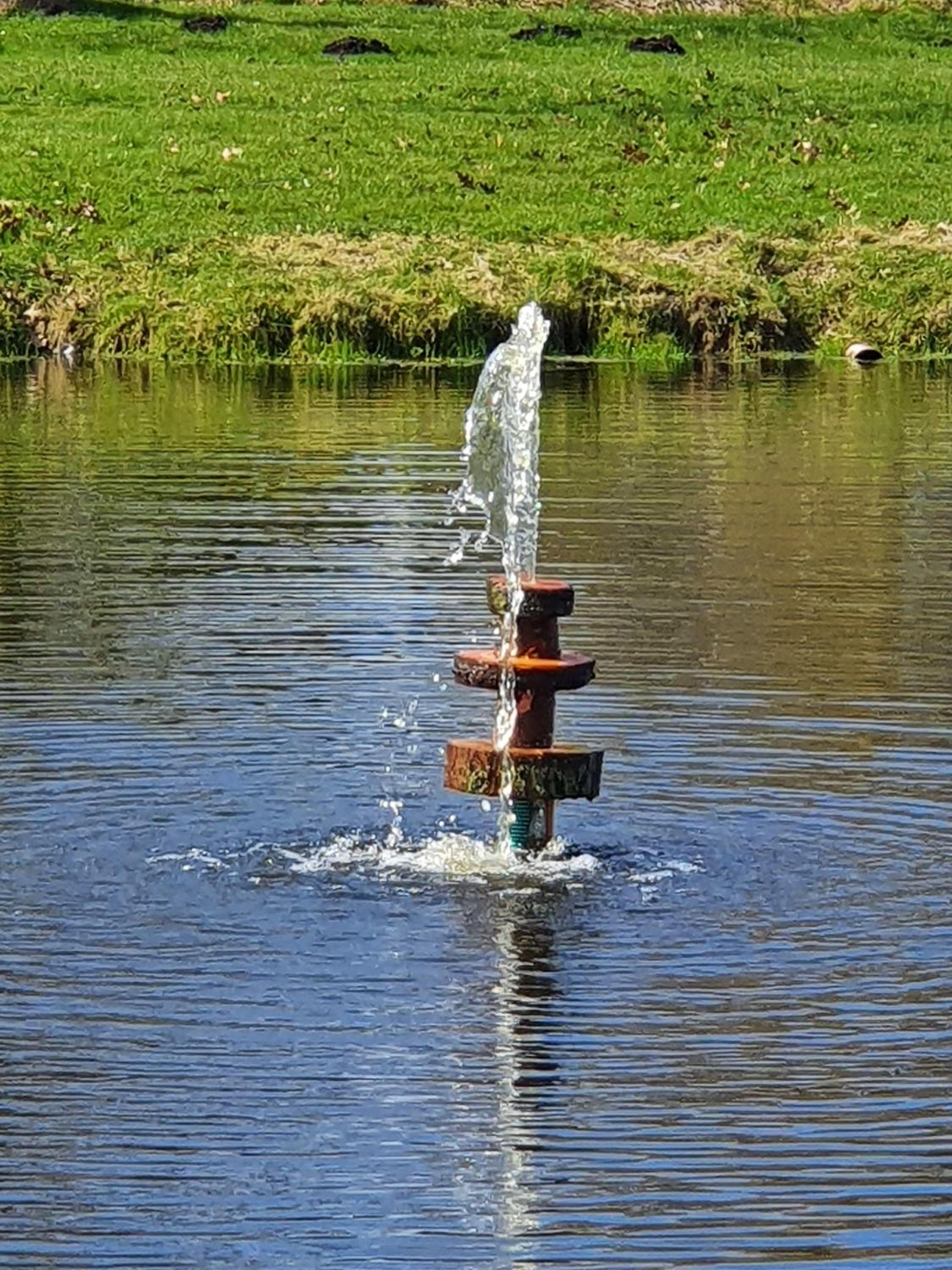 Idyllisches-Blockbohlenhaus-mit-eigenem-Garten-und-Sauna-zum-Wohlfuehlen
