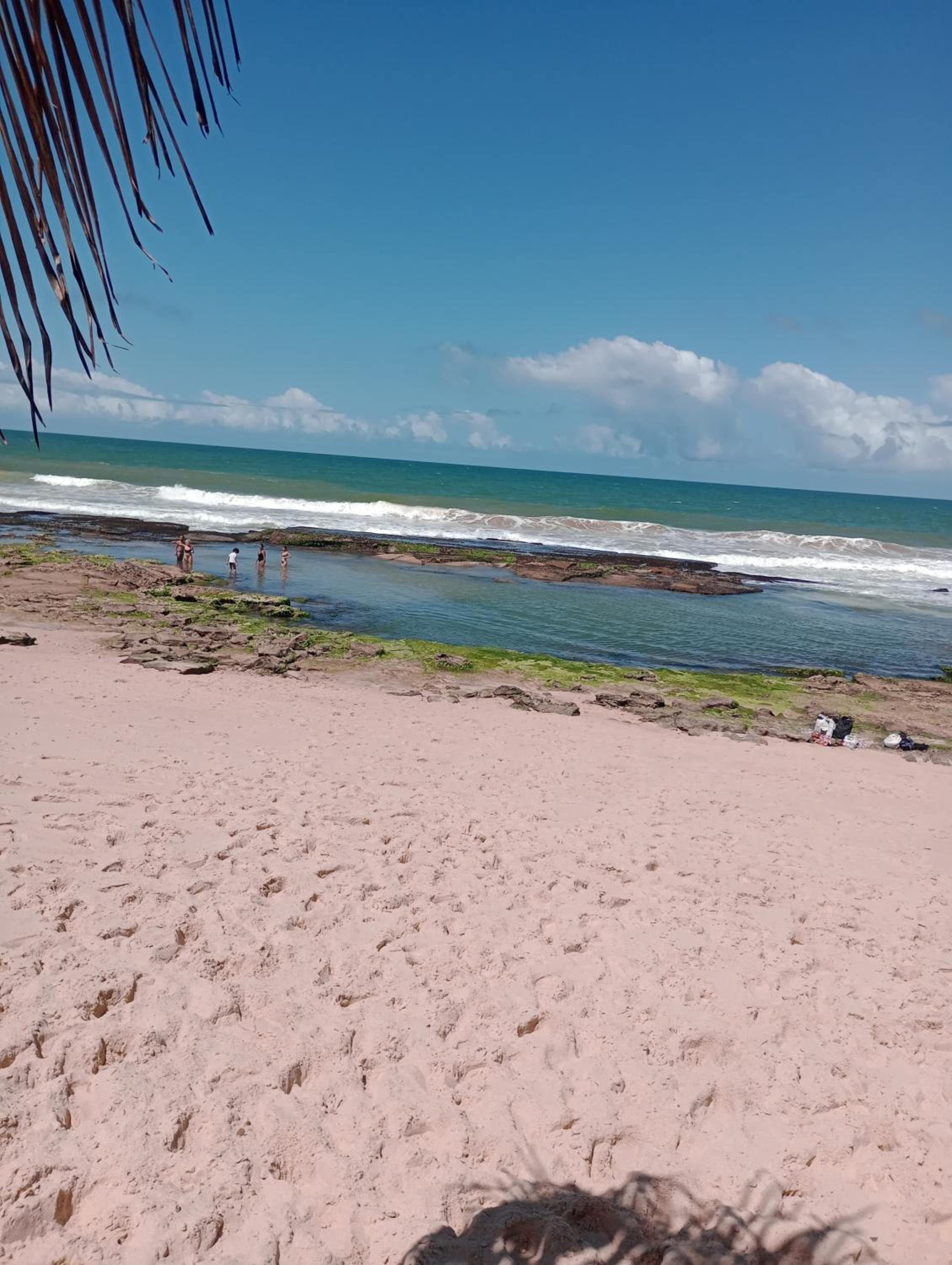 Cabana Família Coruja