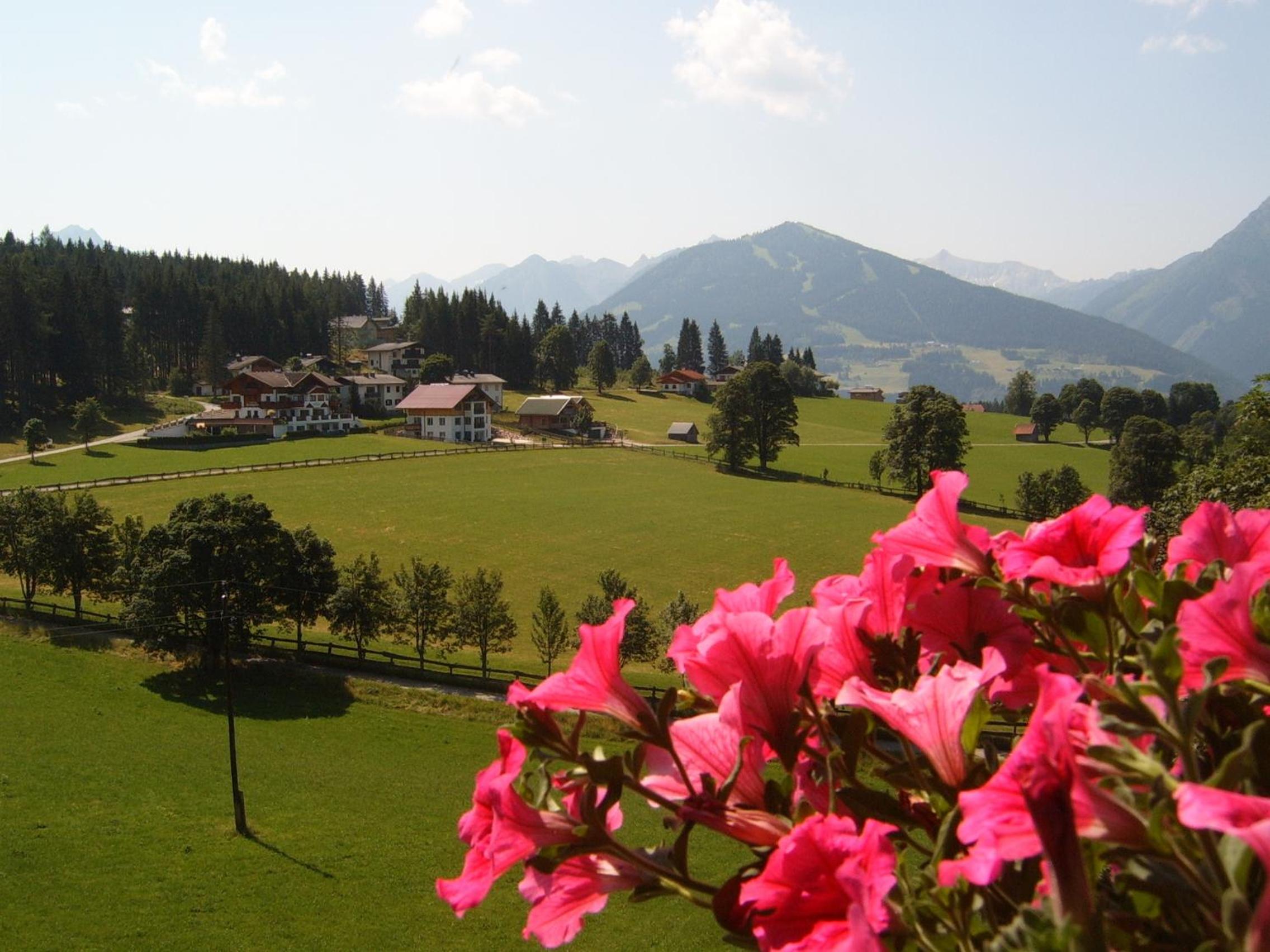 Pension Felsenheim
