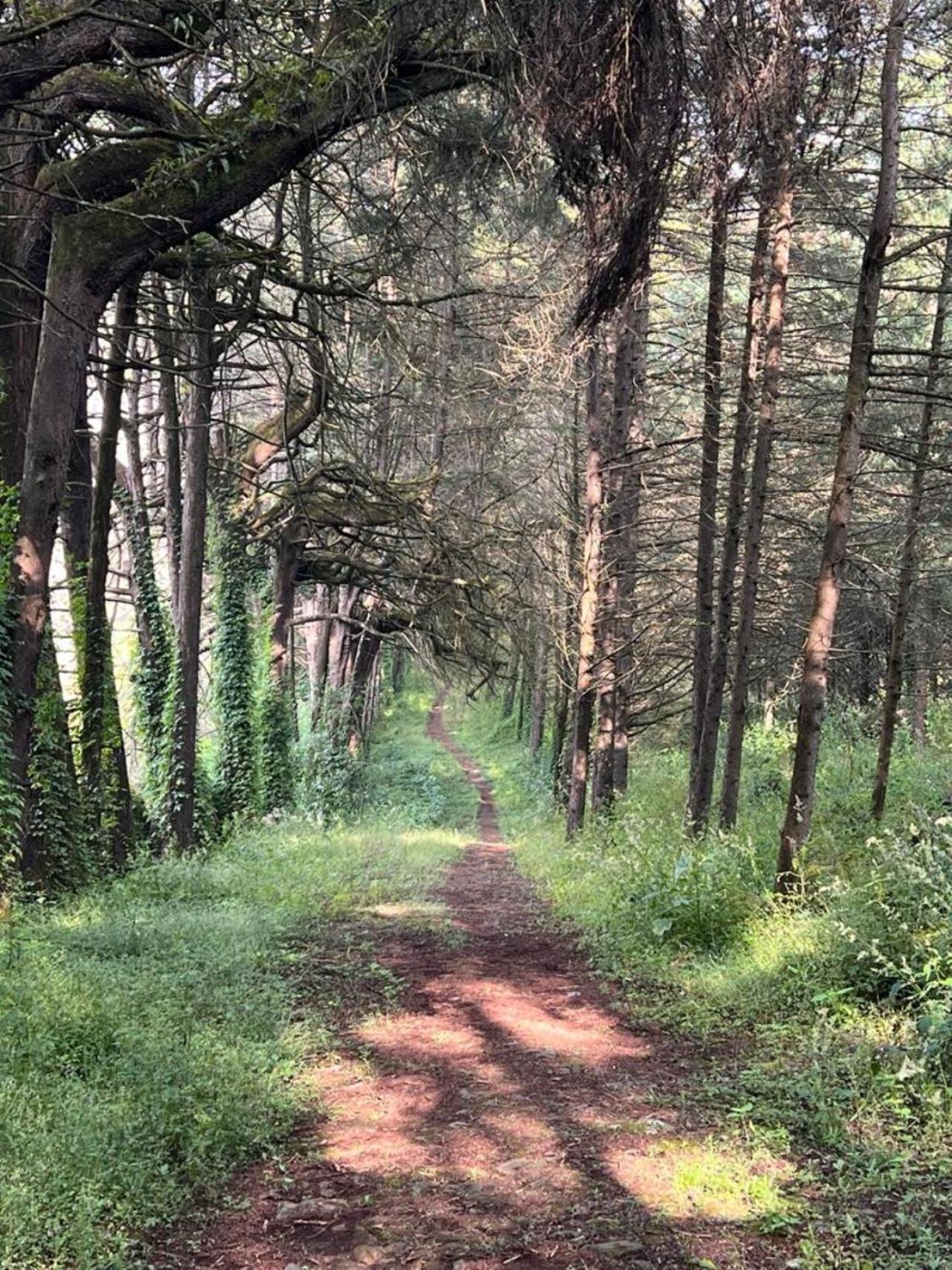 Villa del Lago - Property Image 41