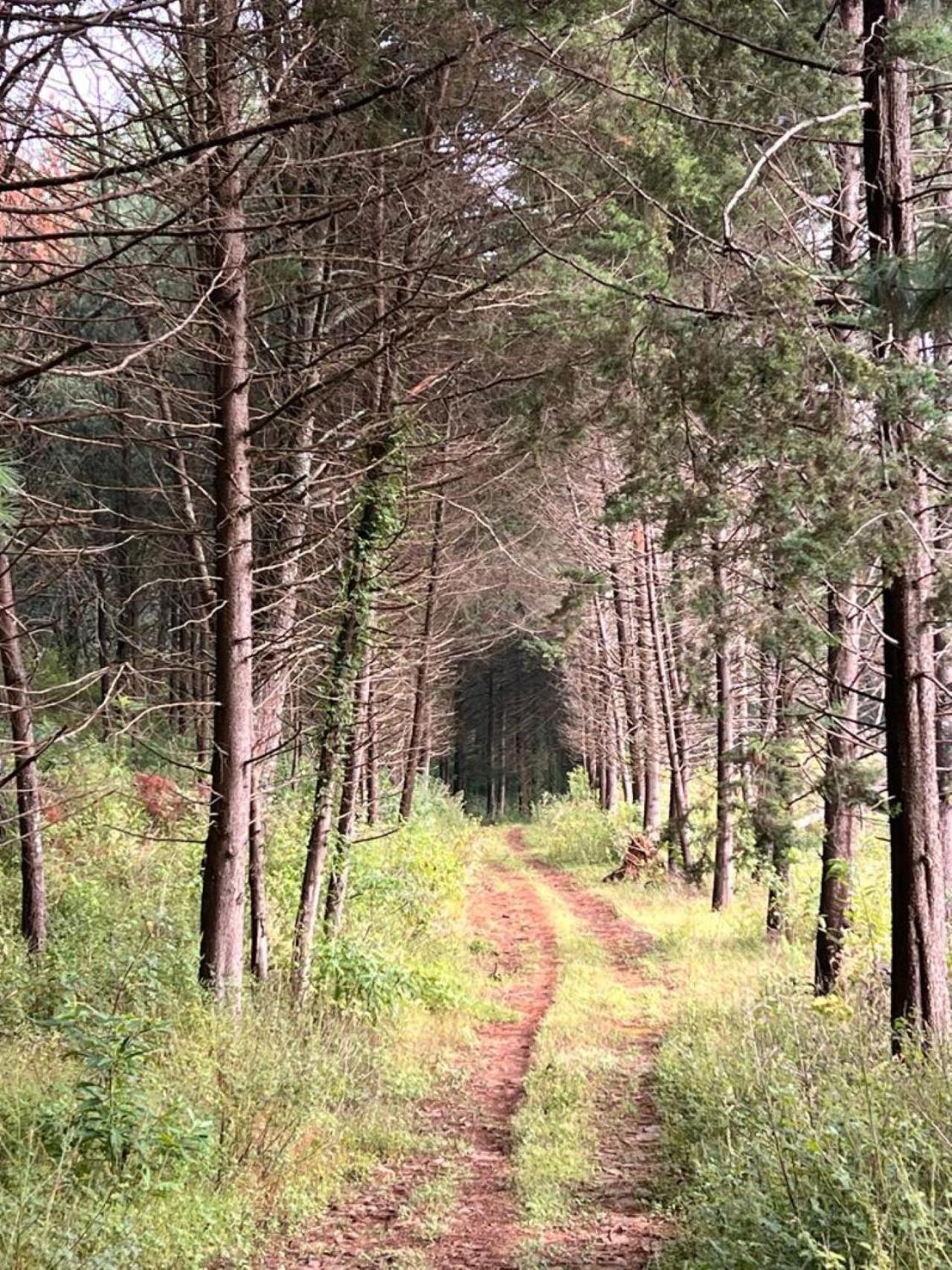 Villa del Lago - Property Image 42