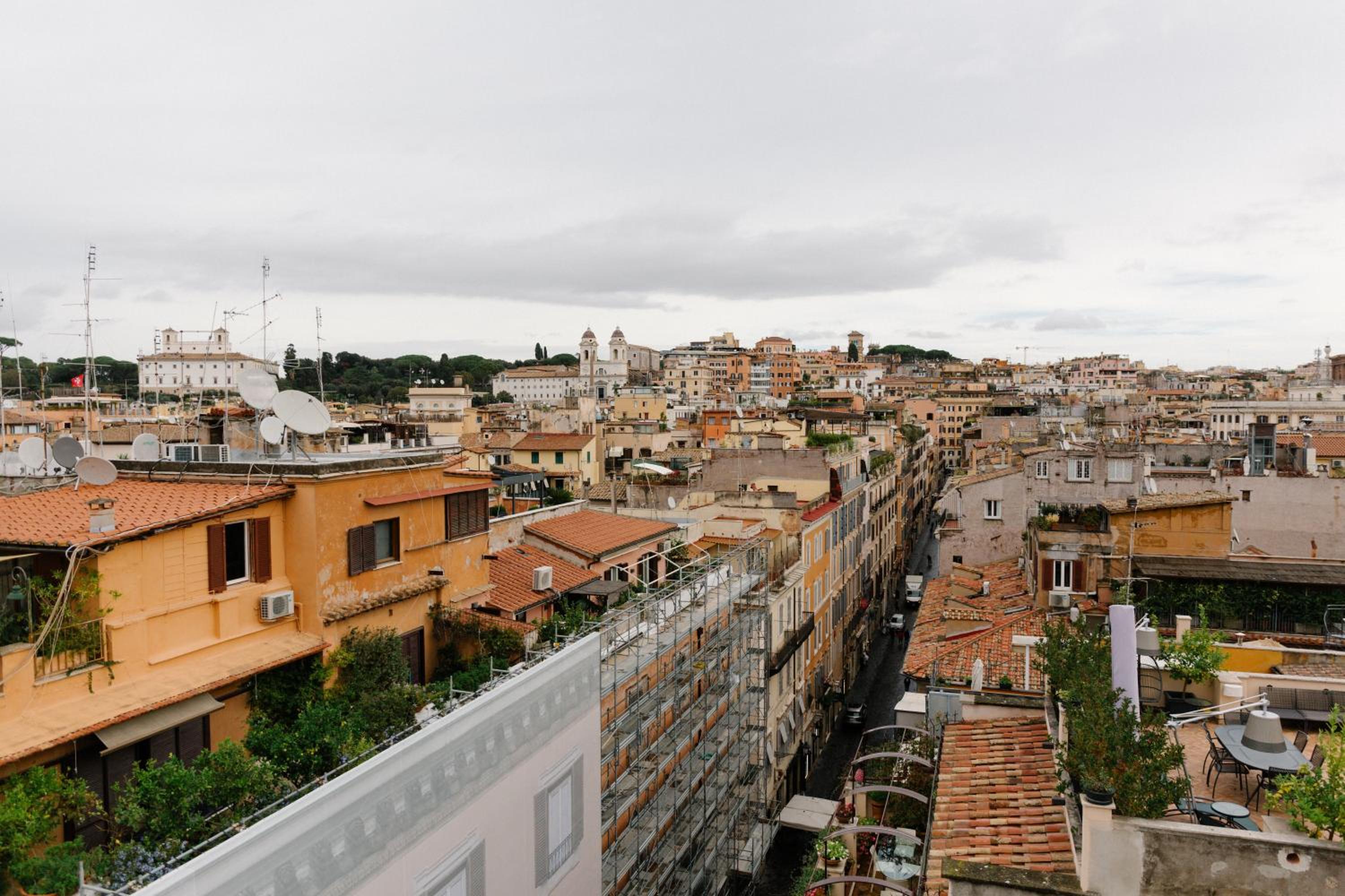 roof