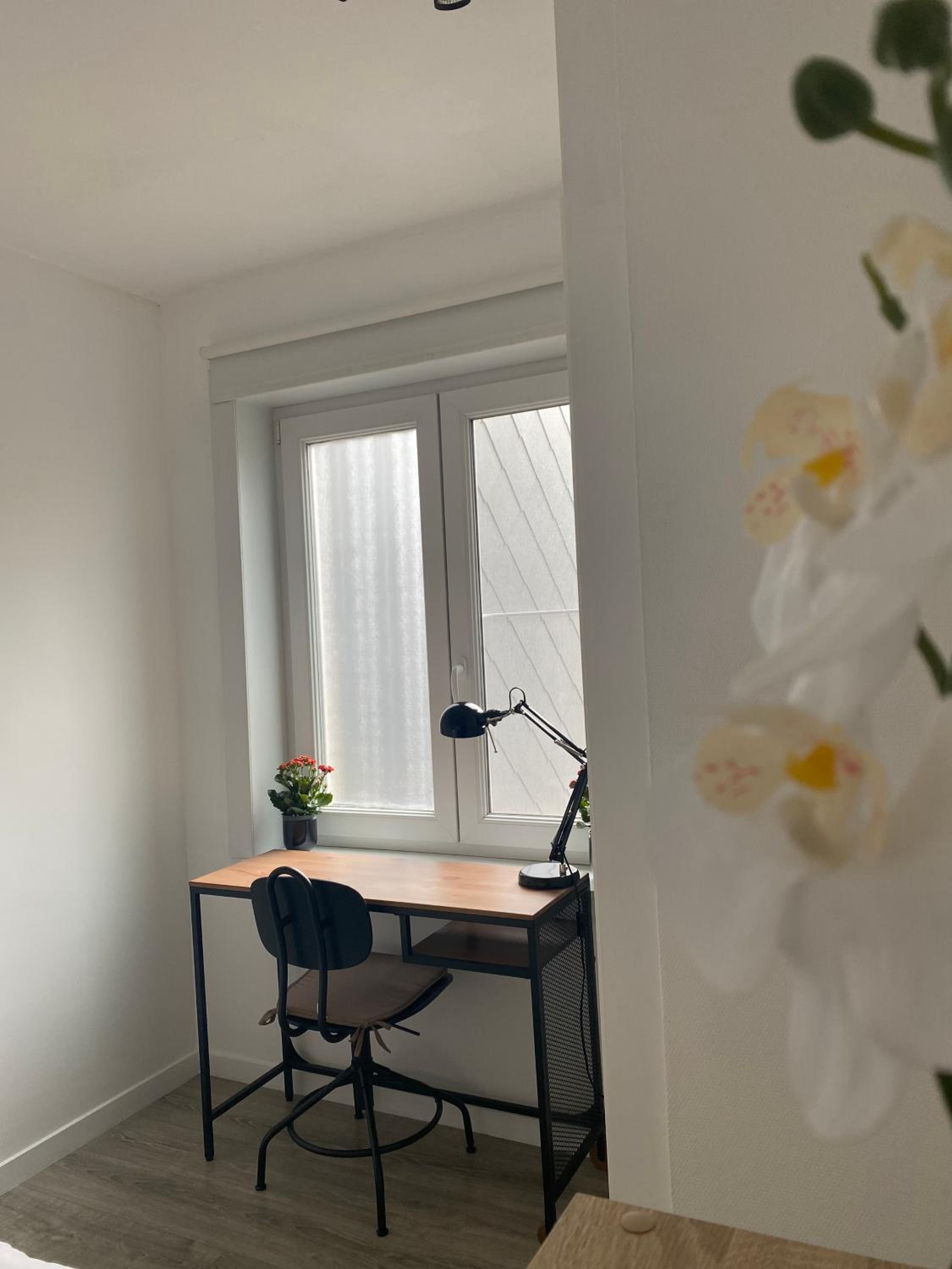 Appartement Ostend