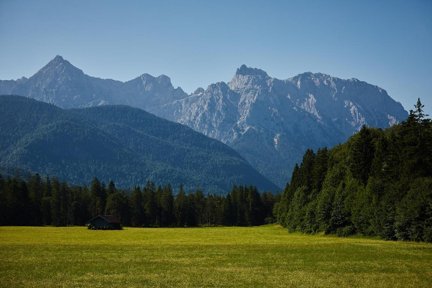 Ferienwohnung zum Hirschgarten