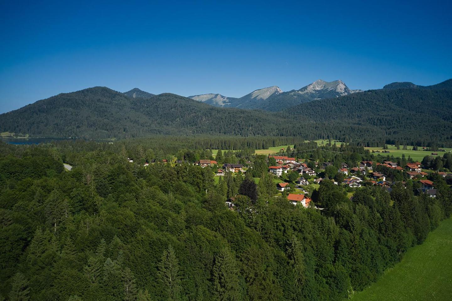 Ferienwohnung zum Hirschgarten